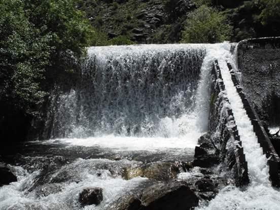 El cortijo azul