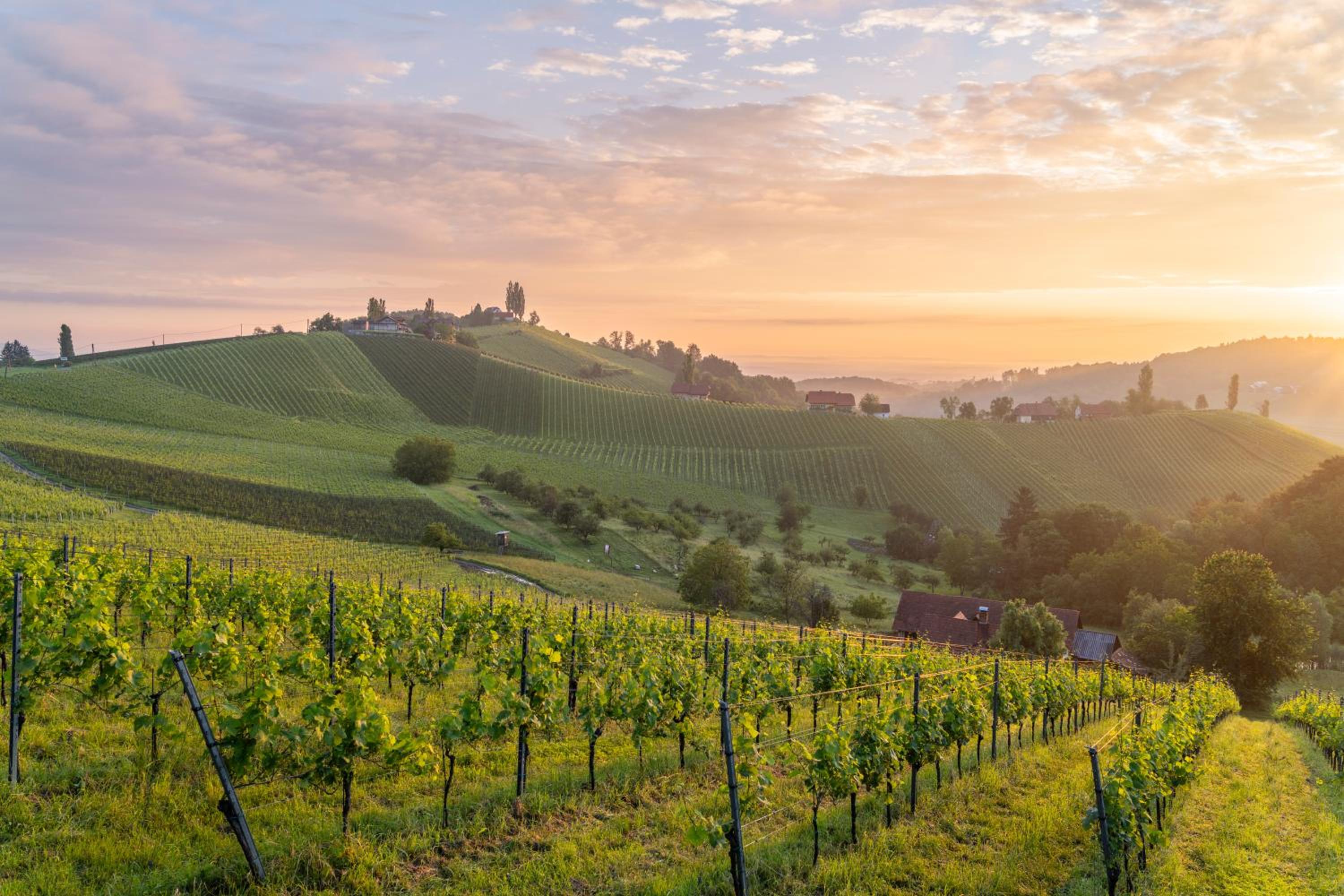 steiRerBLiCke - Winzerhäuser an der südsteirischen Weinstraße