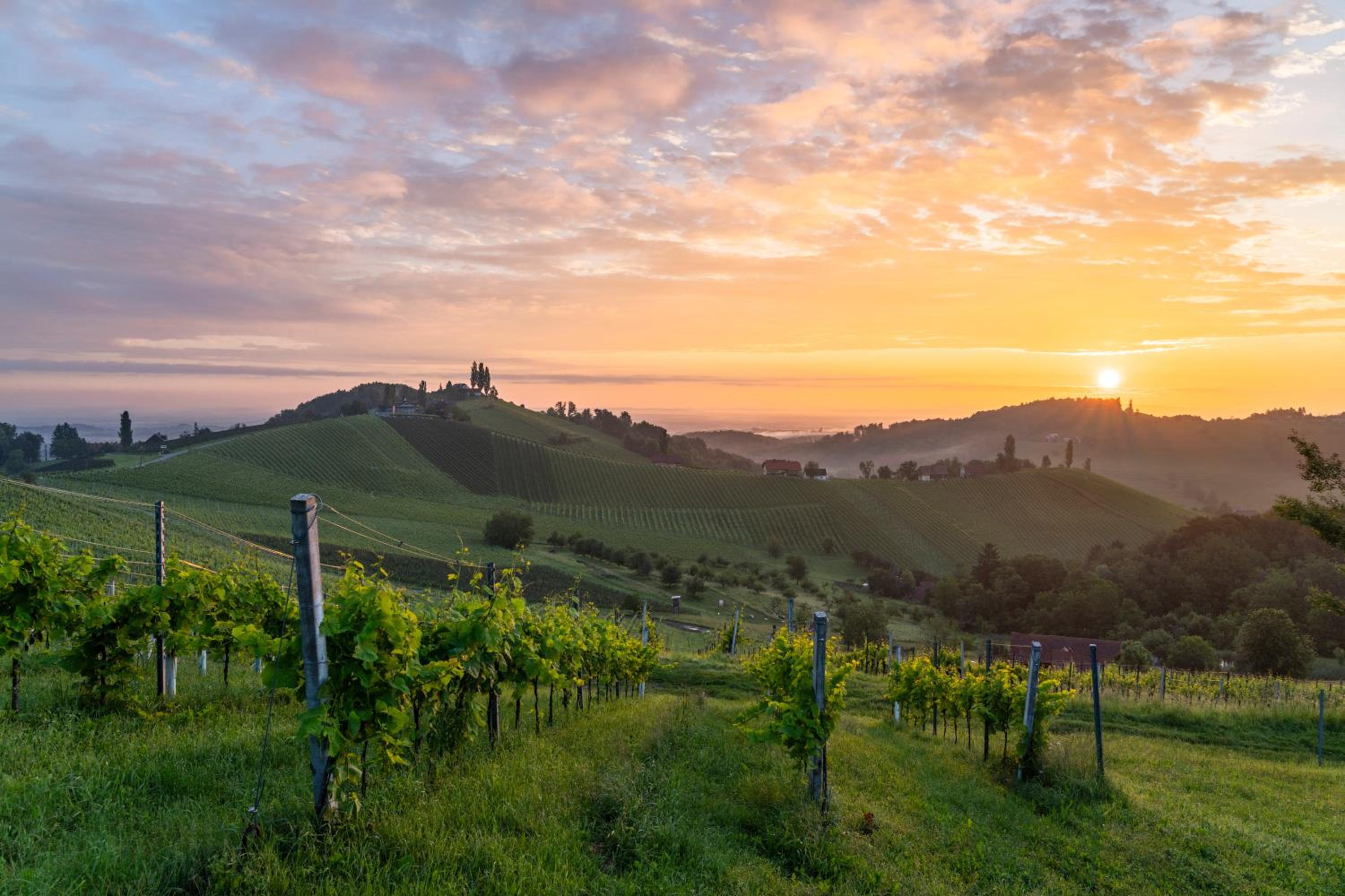 steiRerBLiCke - Winzerhäuser an der südsteirischen Weinstraße