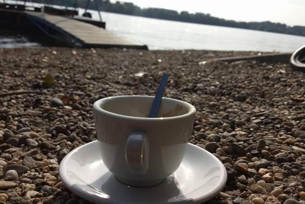 Apartment close to the Danube
