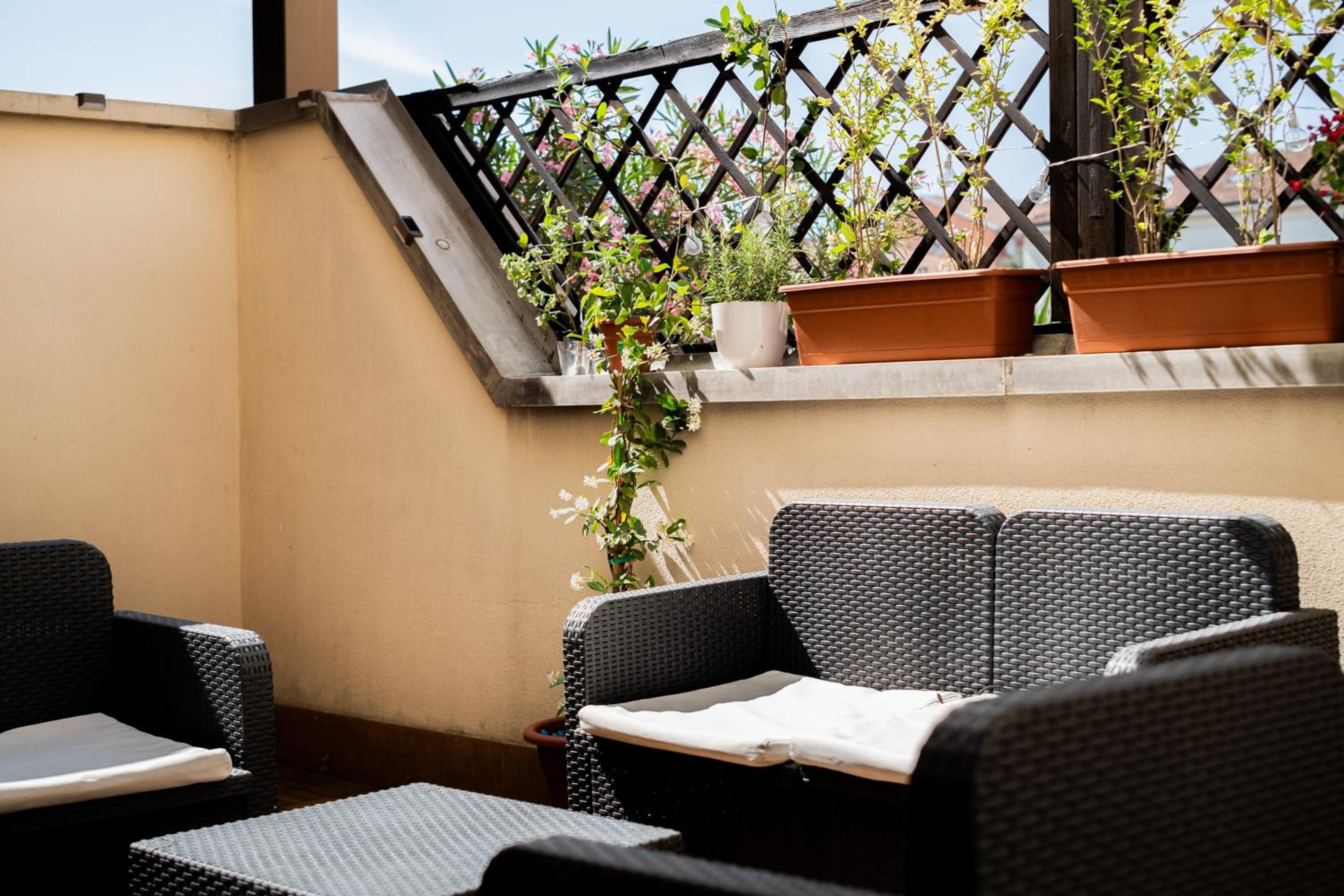 balance & terrace