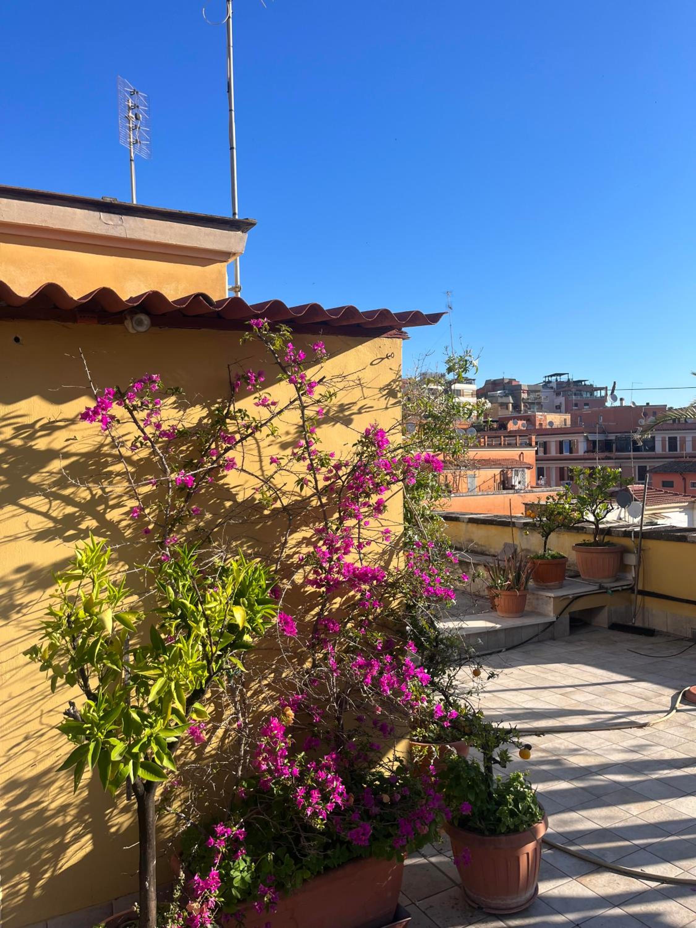Cozy Apt Monteverde Vecchio Trastevere