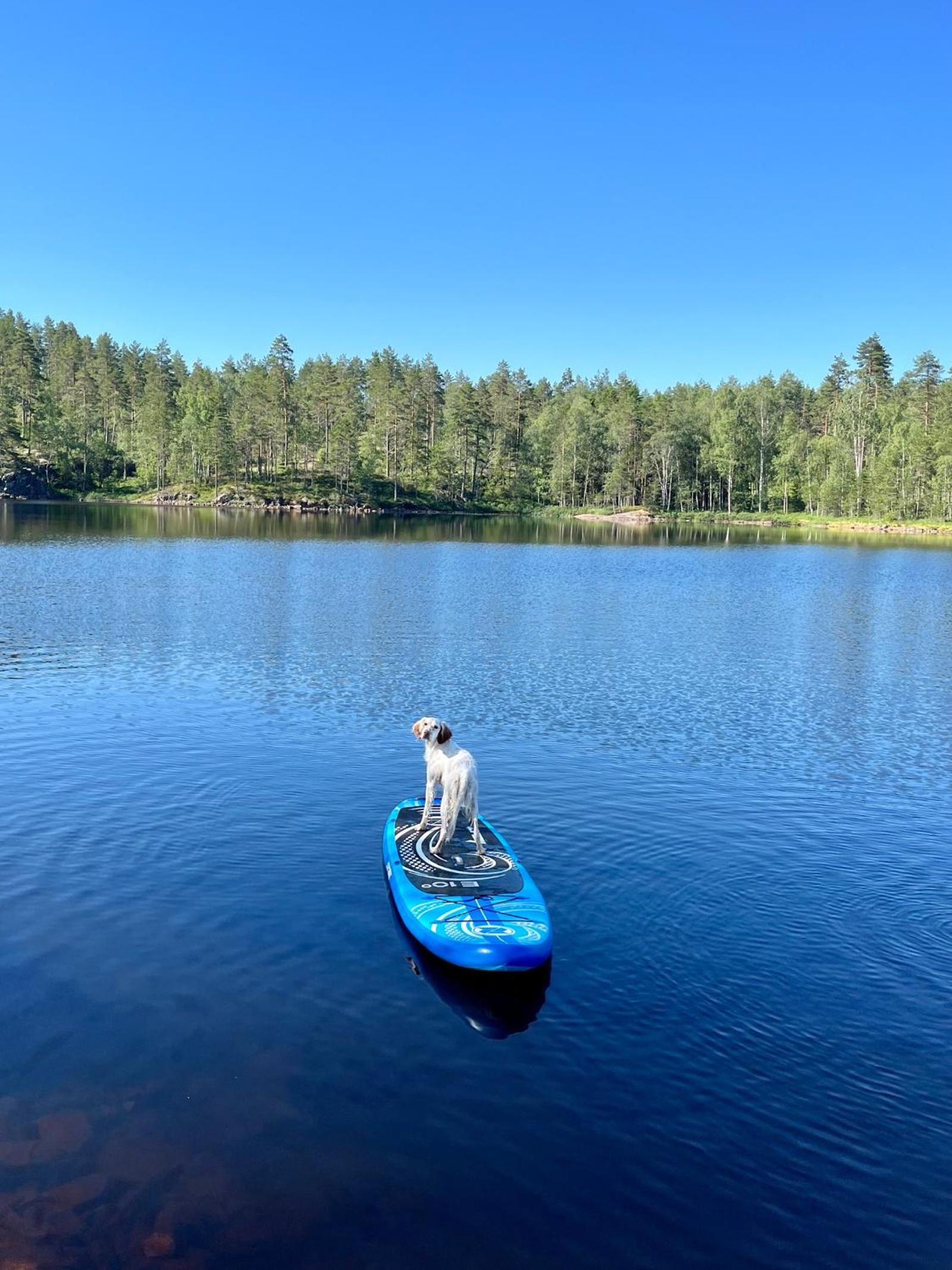 Moderne hytte ved sjøen med badstue view 2