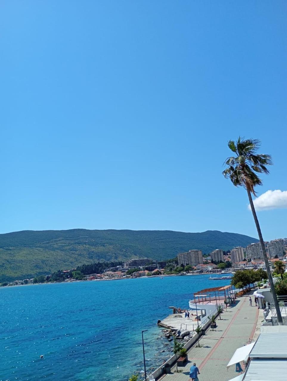 Apartments Cebra