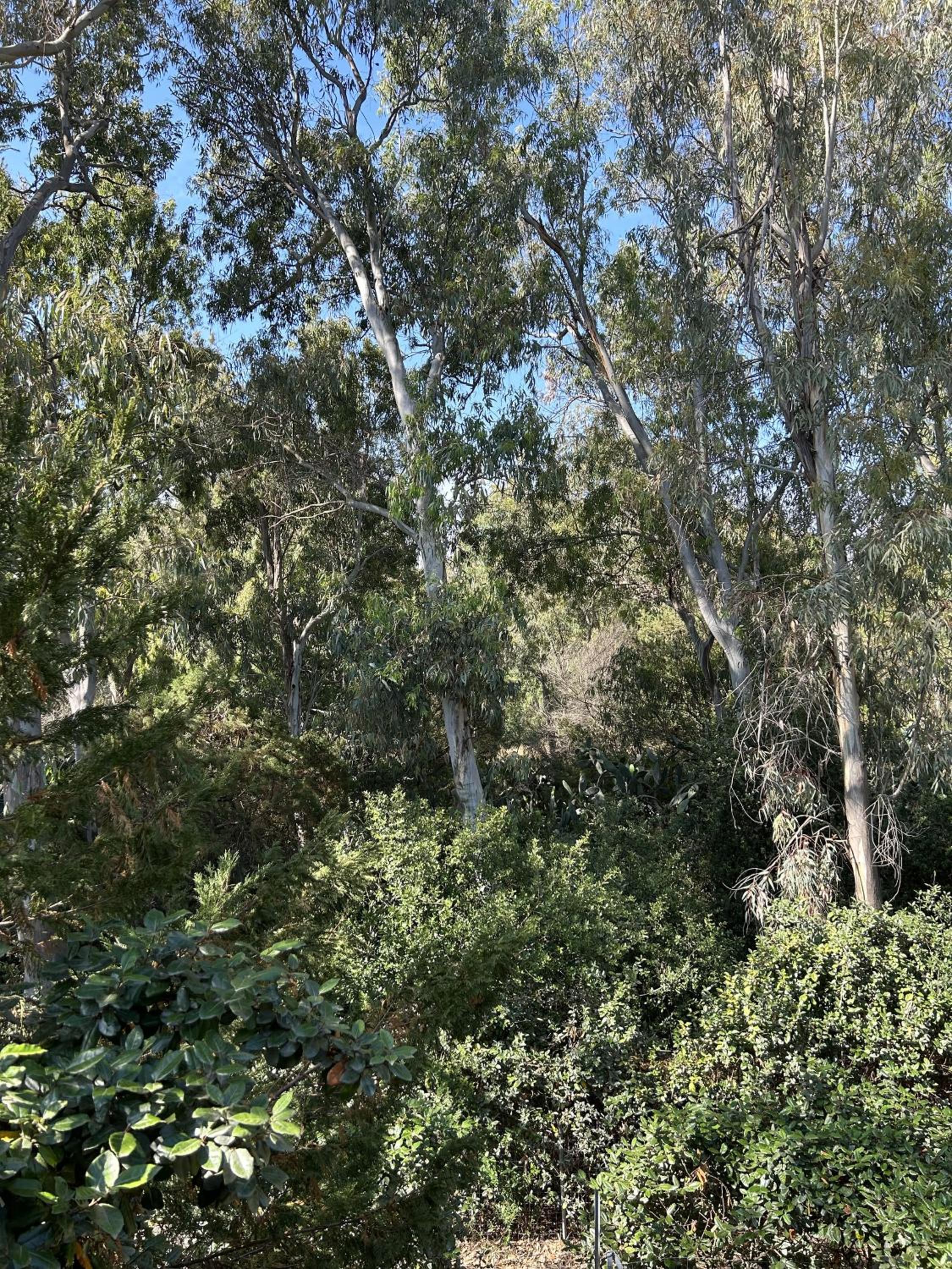 Photo 23