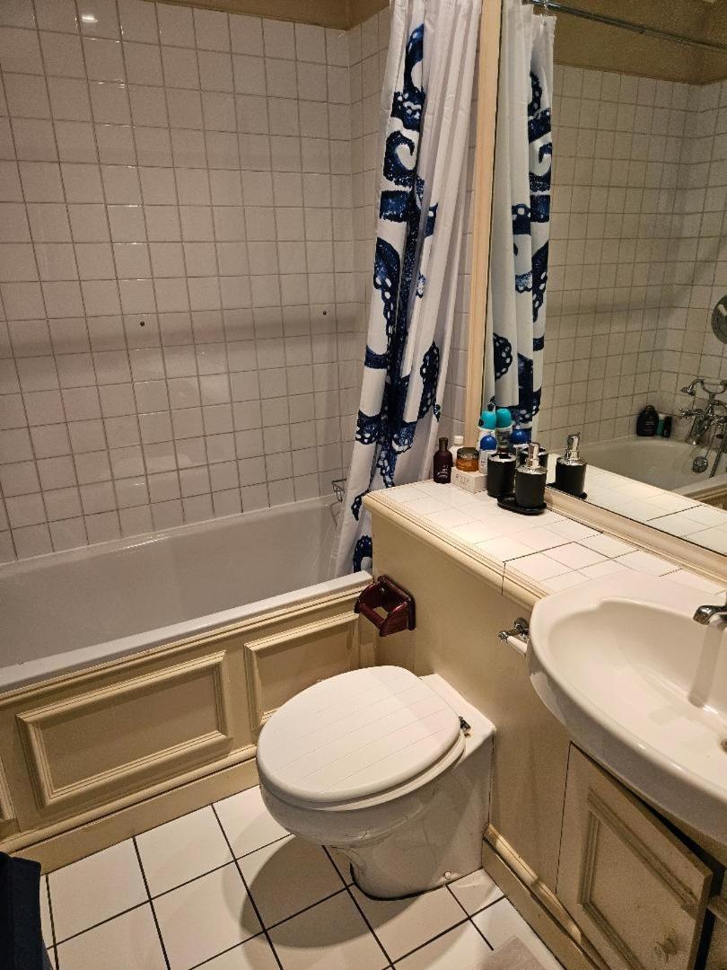 Luxury Flat in South Kensington