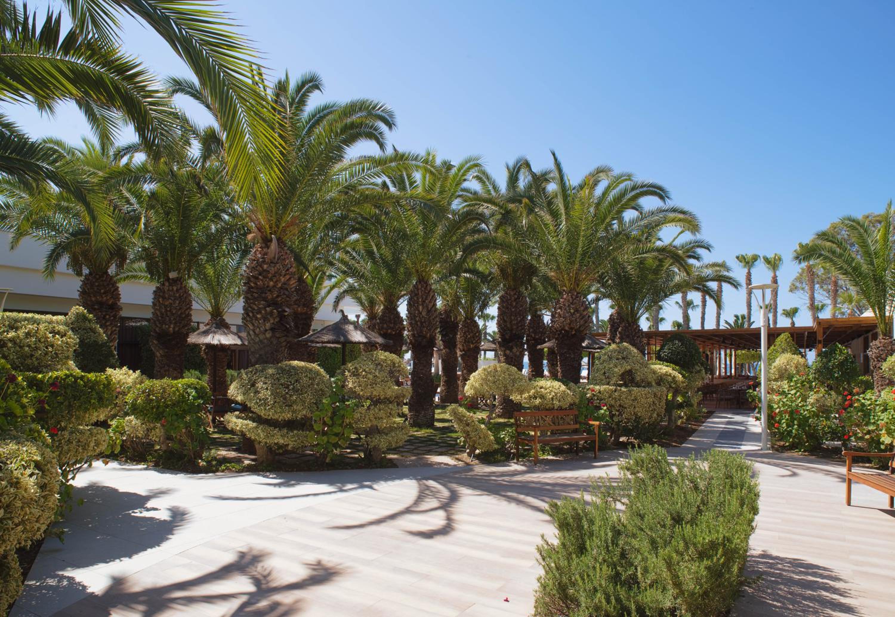 Photo 44