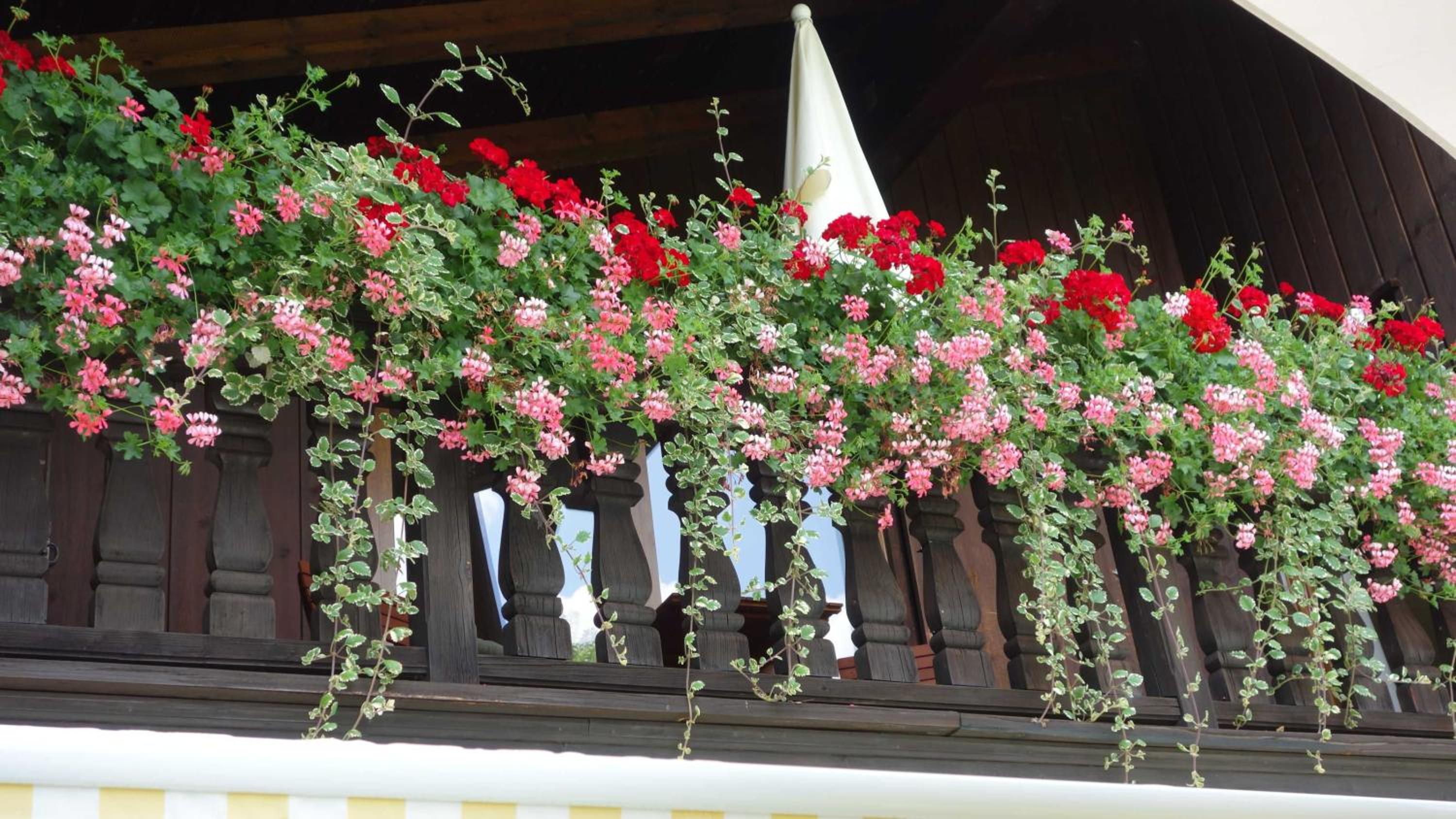 Ferienwohnung Haulle, Kreuth-Scharling am Tegernsee