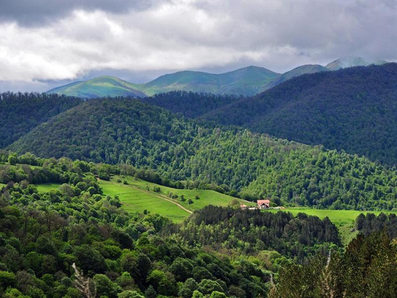 Dilijan