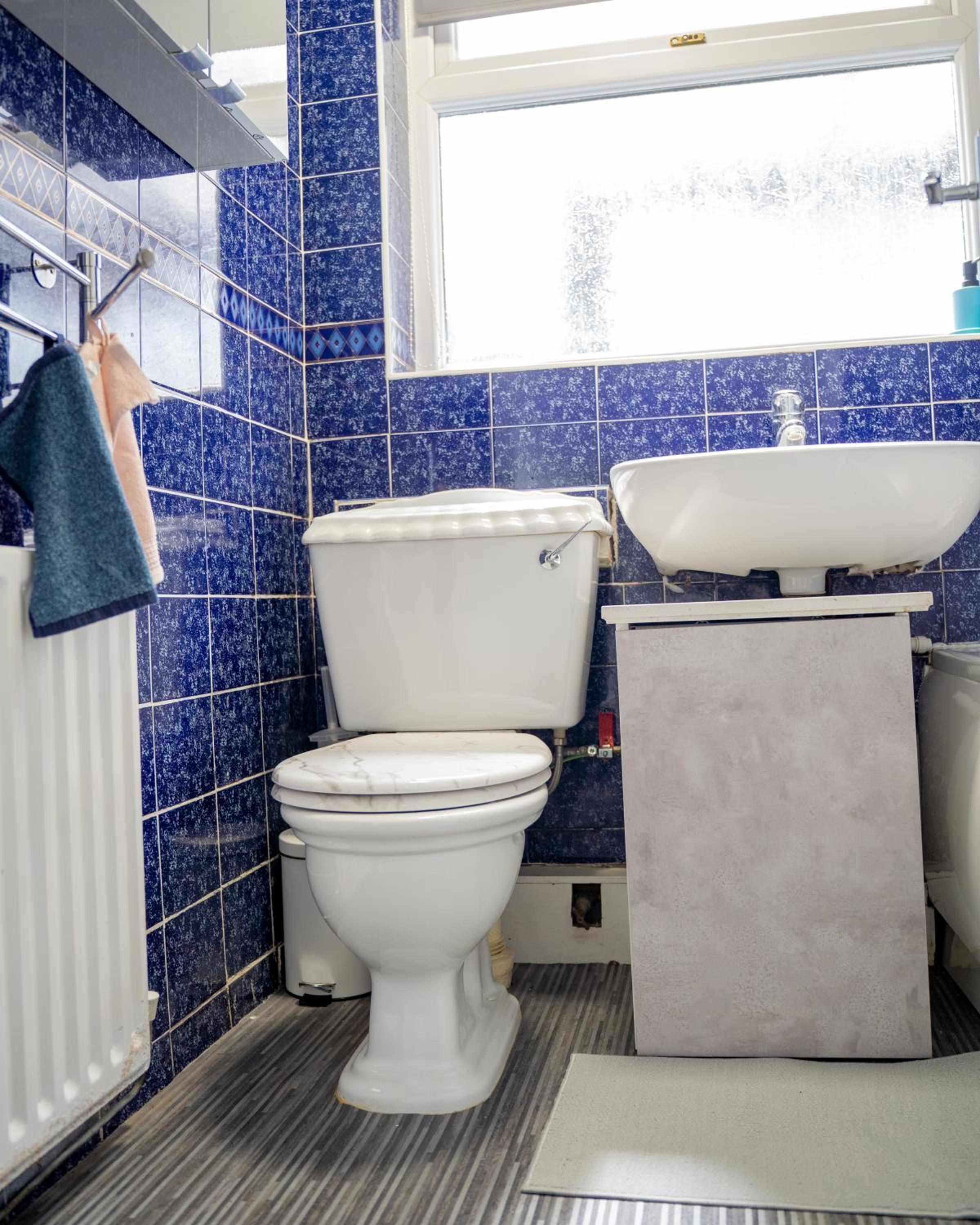 Rent Entire Calmhaven Apartment