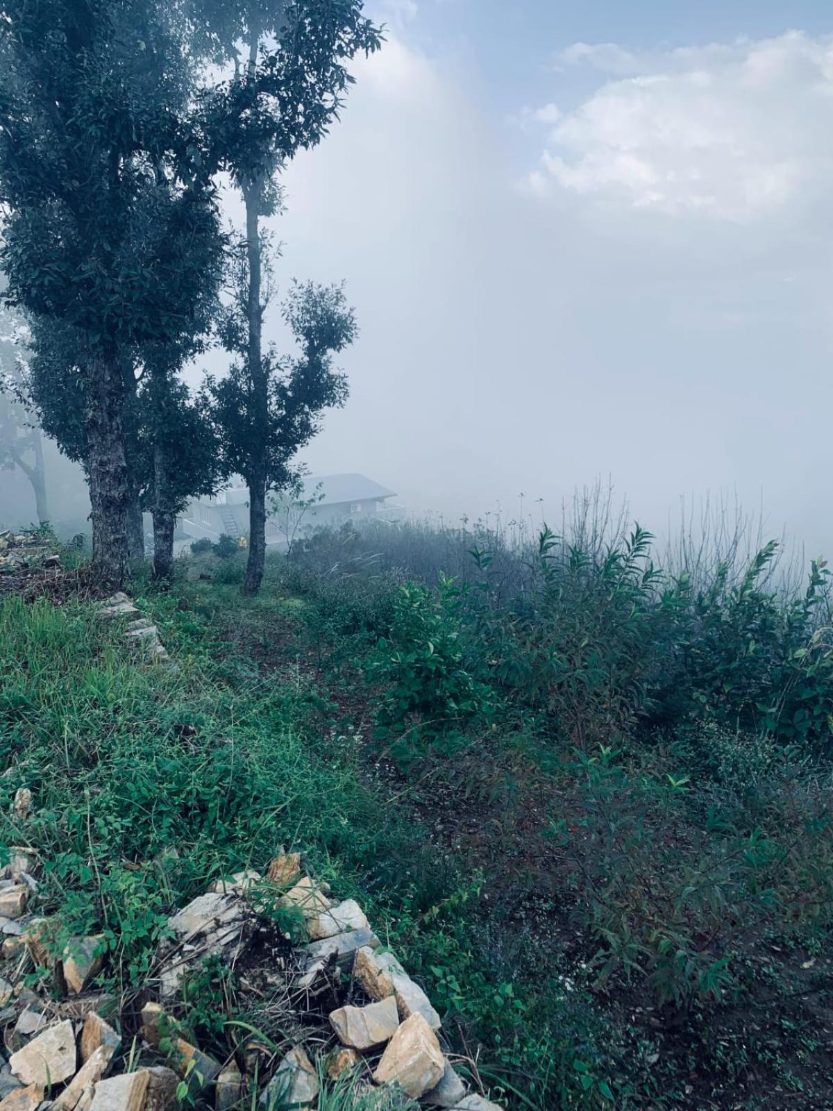Khumani Hartola, Mountain-View BnB with Balcony & Bonfire view 2