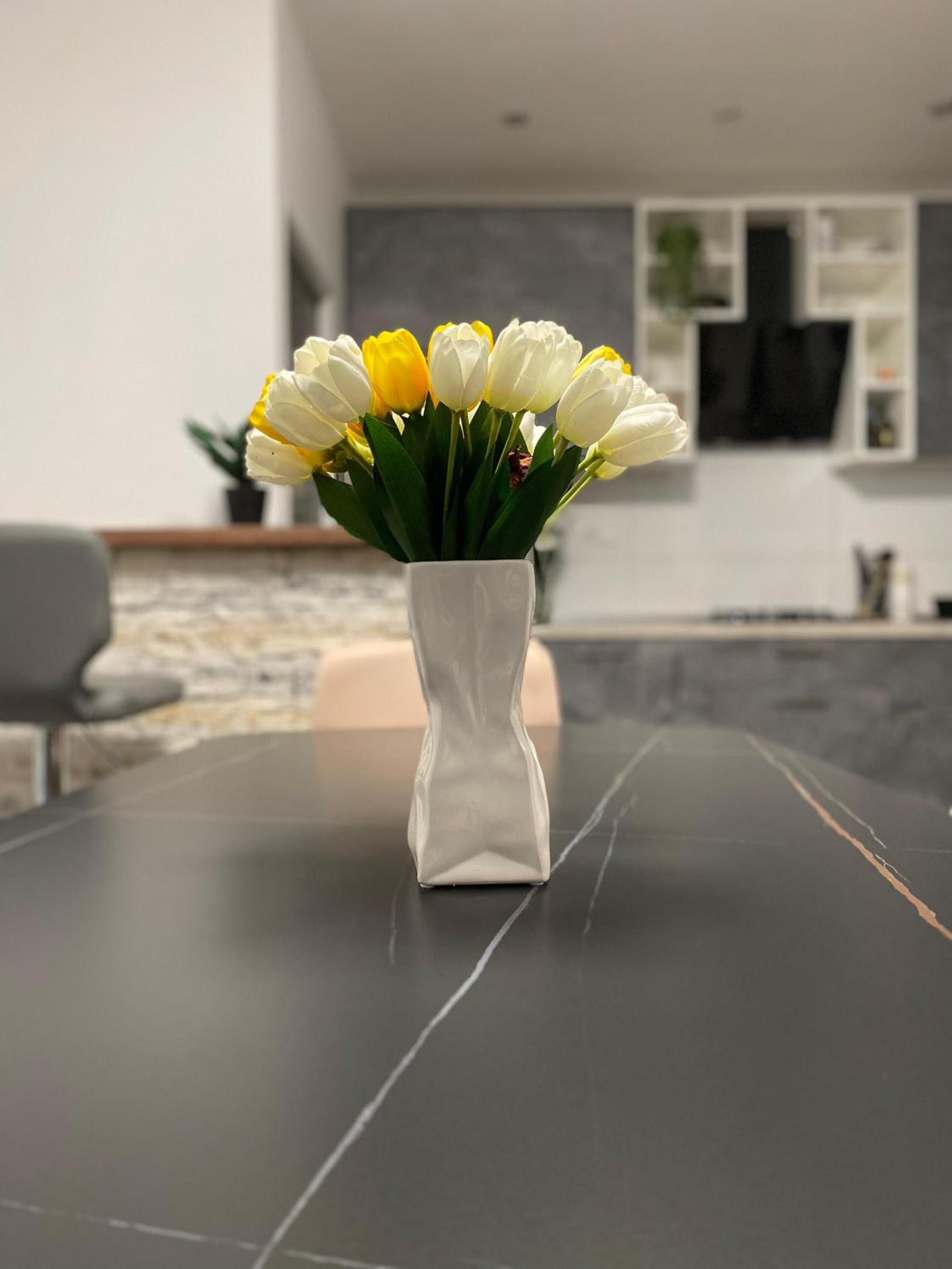 Apartman Žuki