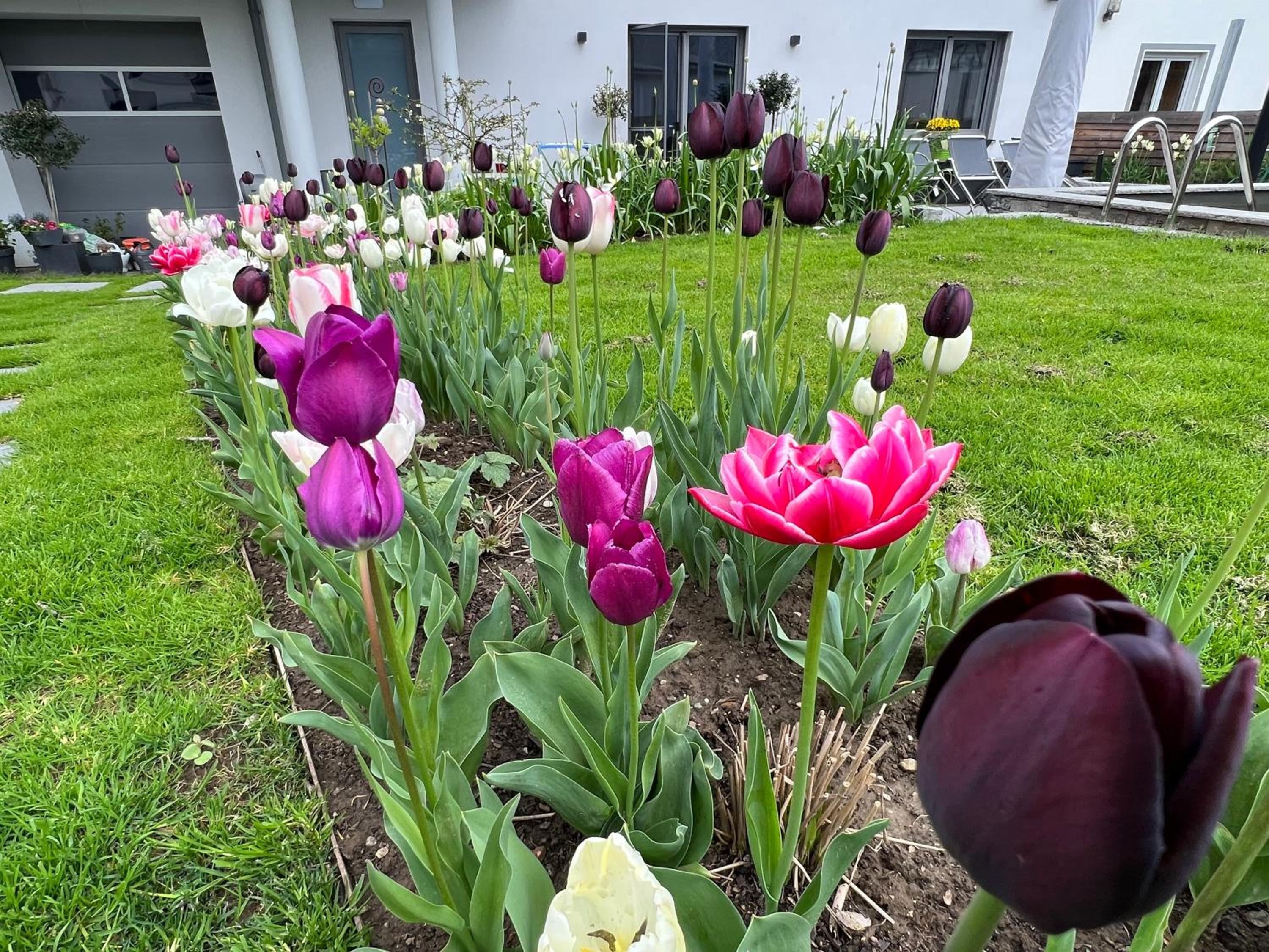 Garten Apartment