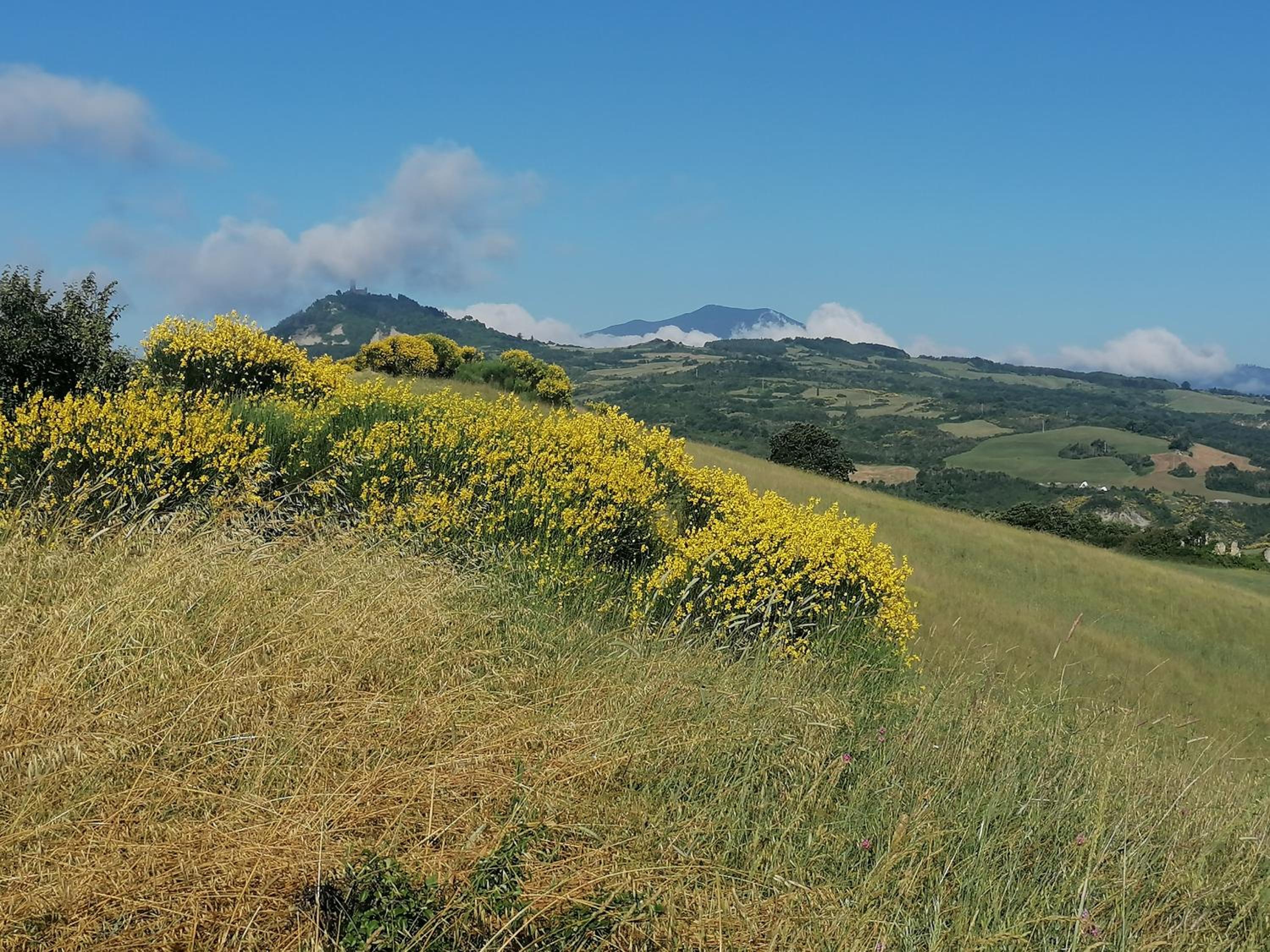 Villetta la Fortezza Oasi Verde e Relax Toscano