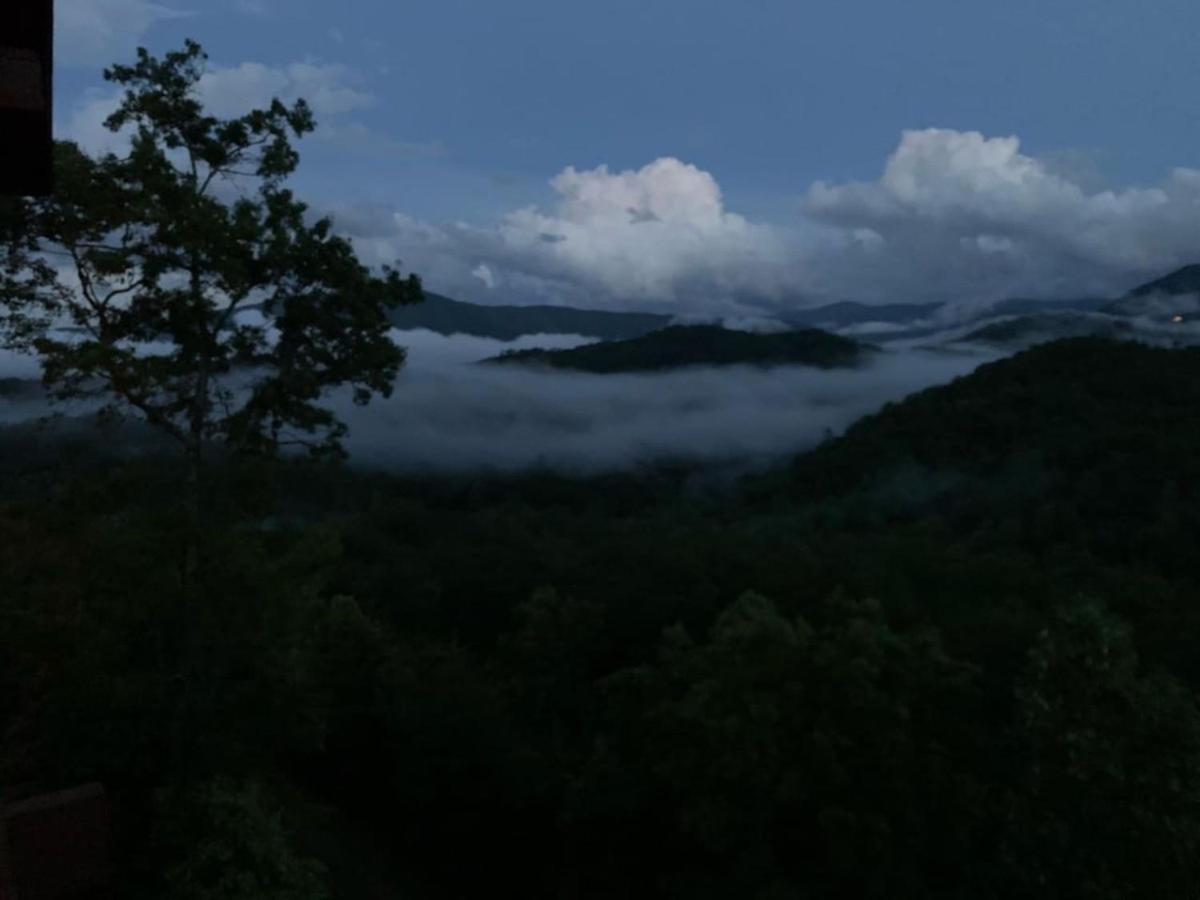 Photo 41