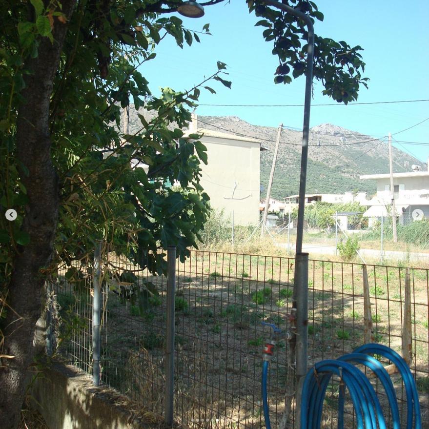 Plataria Houses