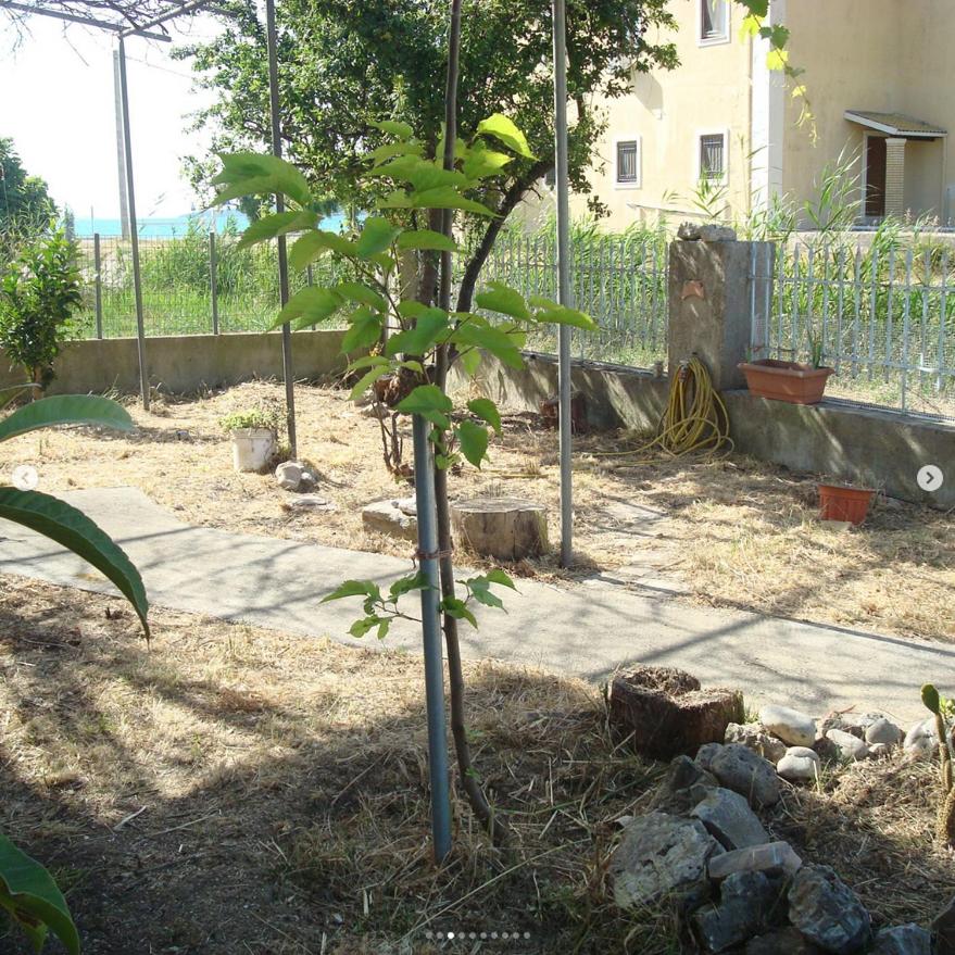 Plataria Houses