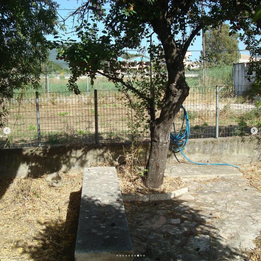 Plataria Houses