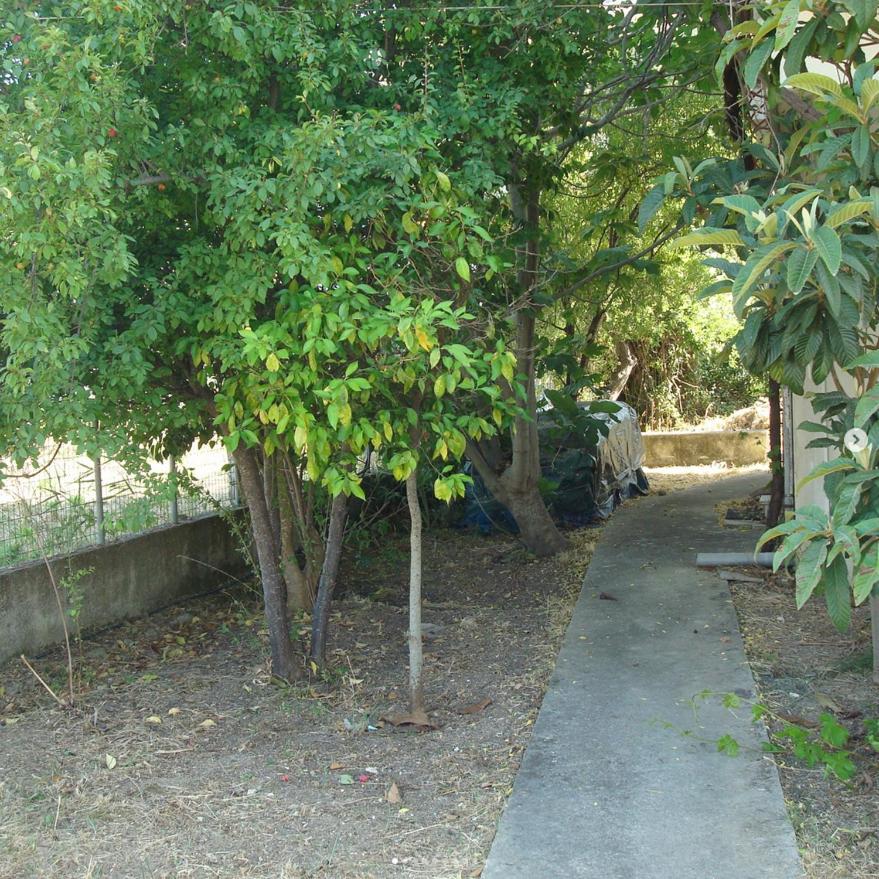 Plataria Houses