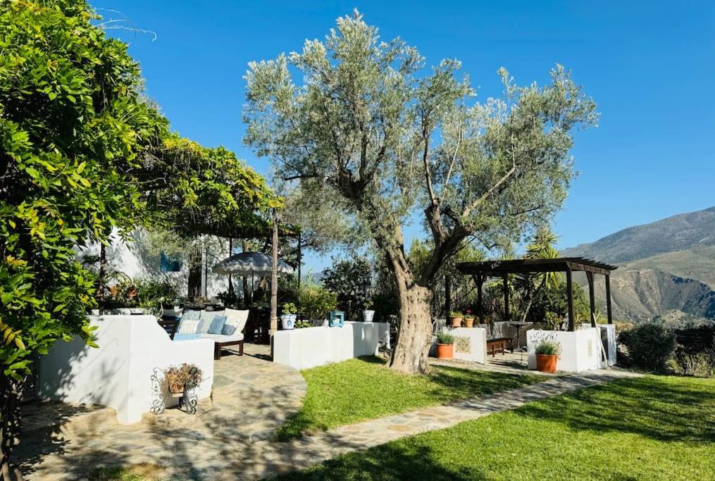 Almond Hill House