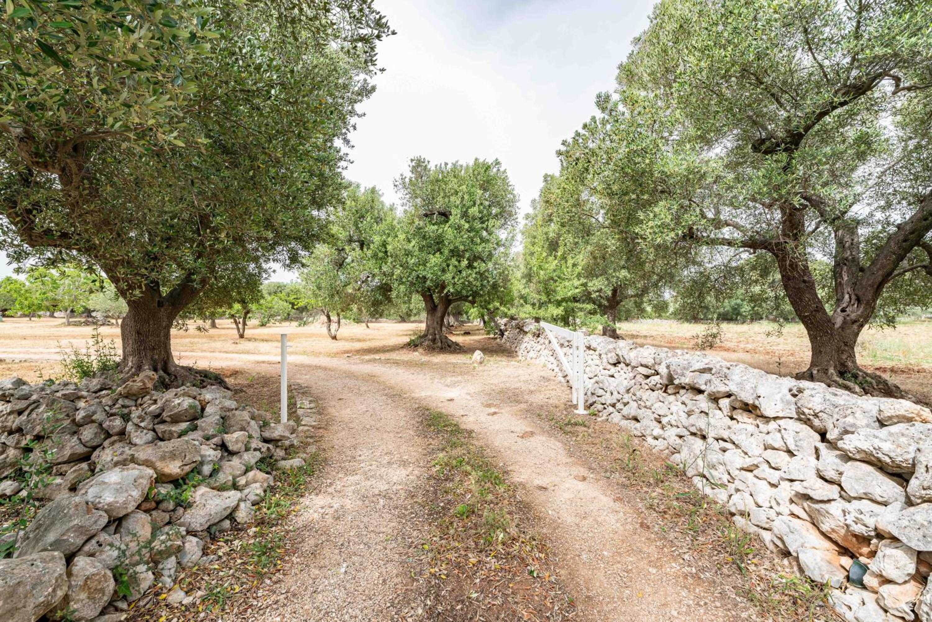 Il Trullo di Nonna Ratuccia by Rentbeat