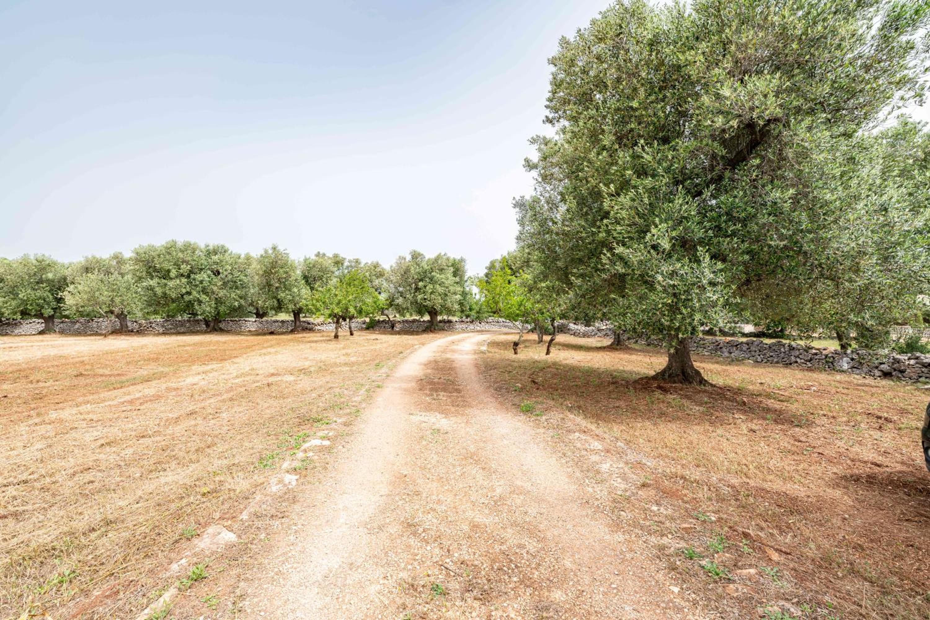 Il Trullo di Nonna Ratuccia by Rentbeat
