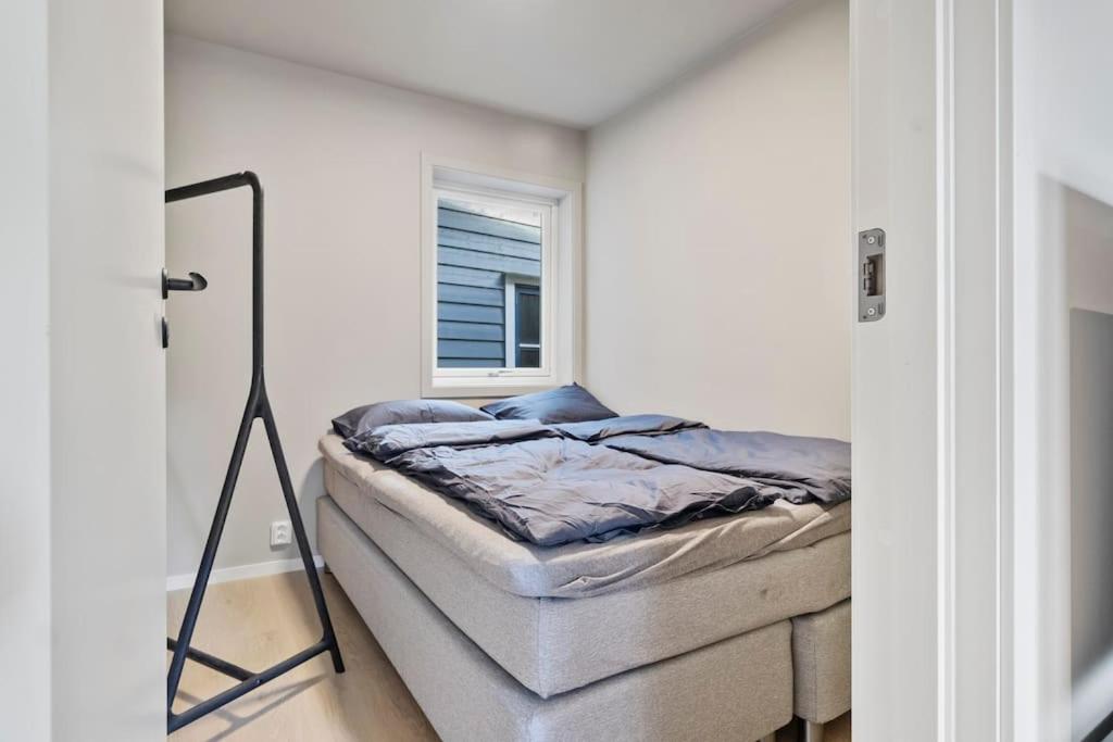 Premium Bergen Suite