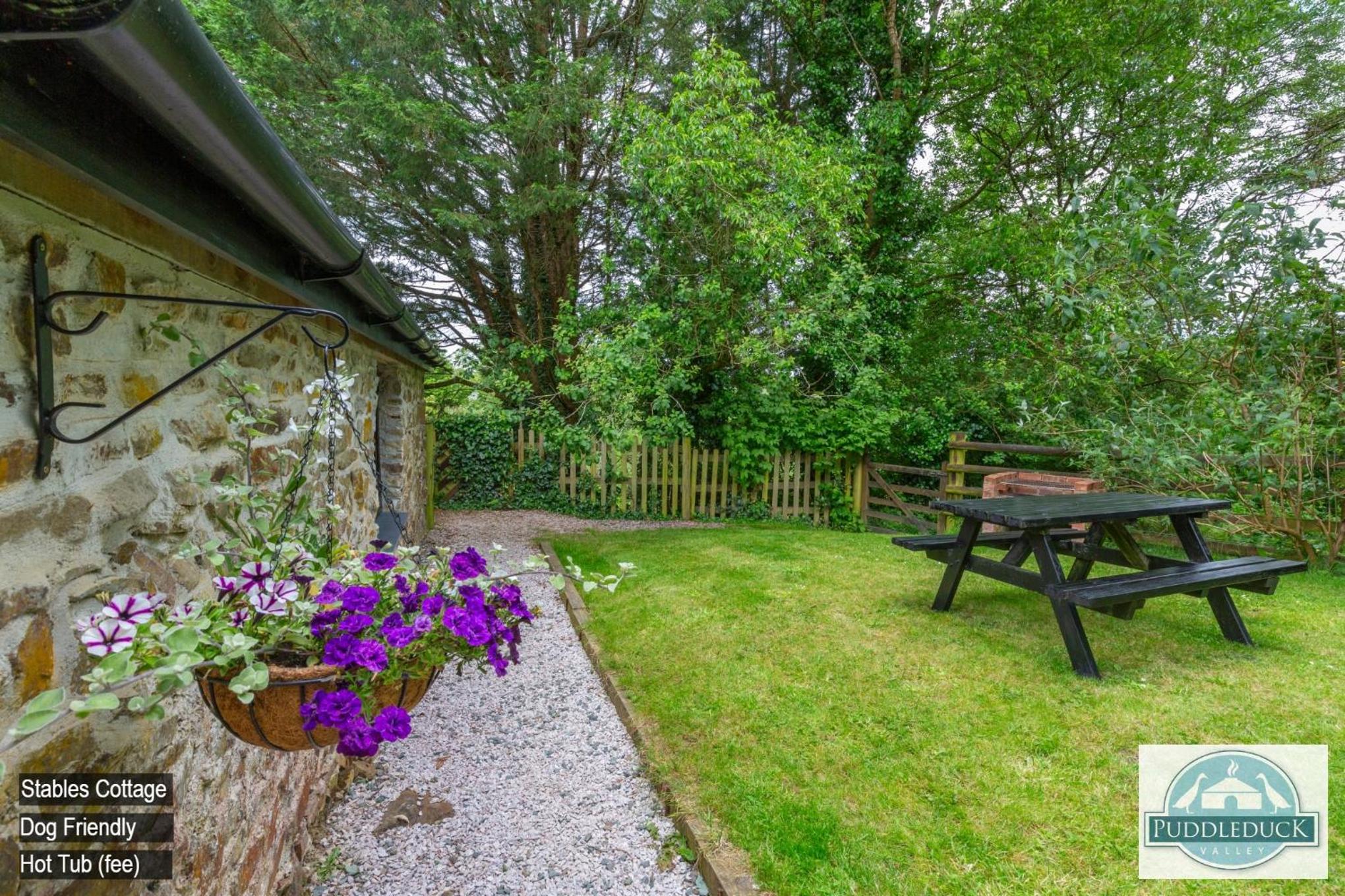 Puddleduck Valley - Dog Friendly