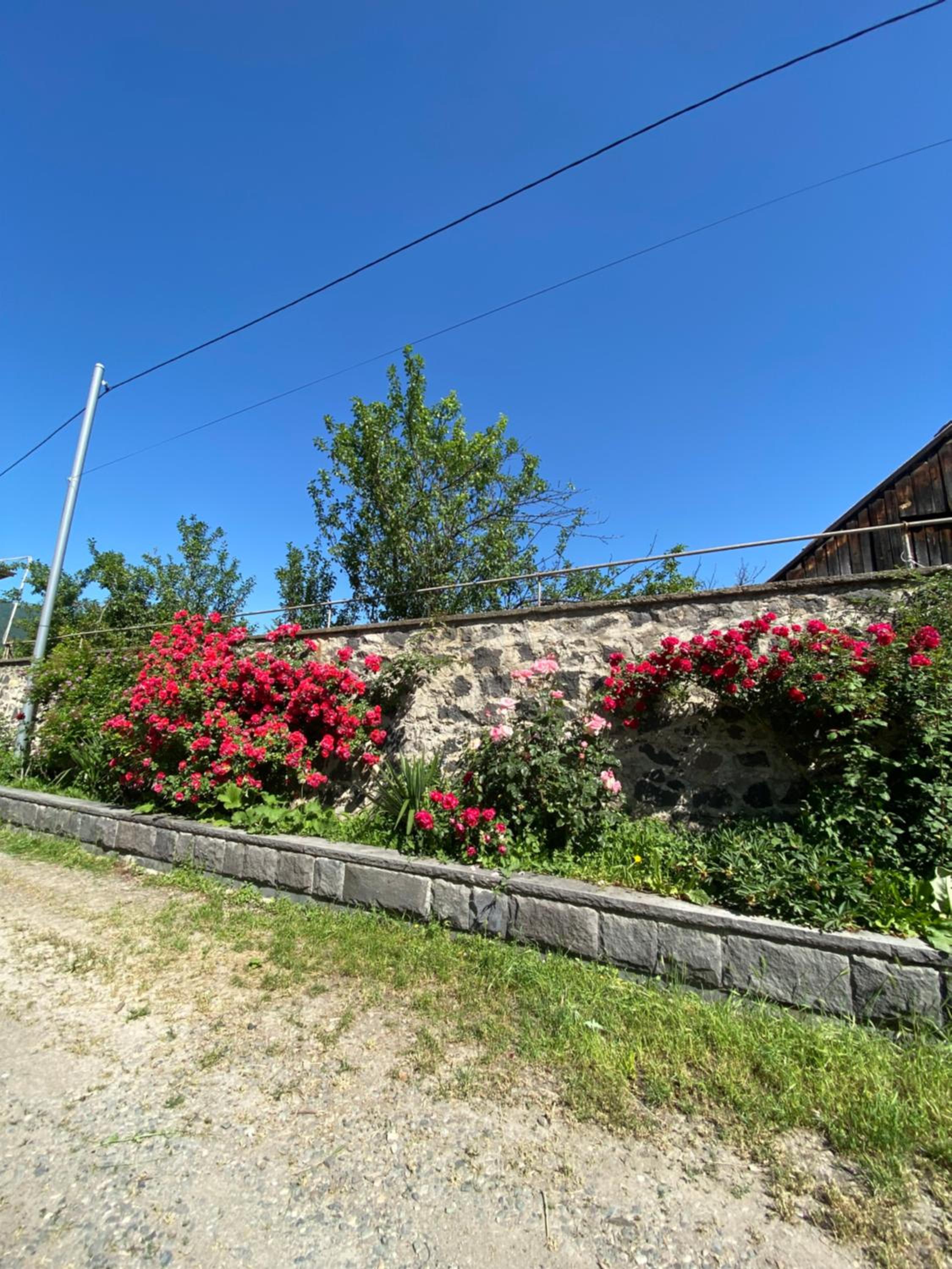 Yeghevni Guest House in Odzun