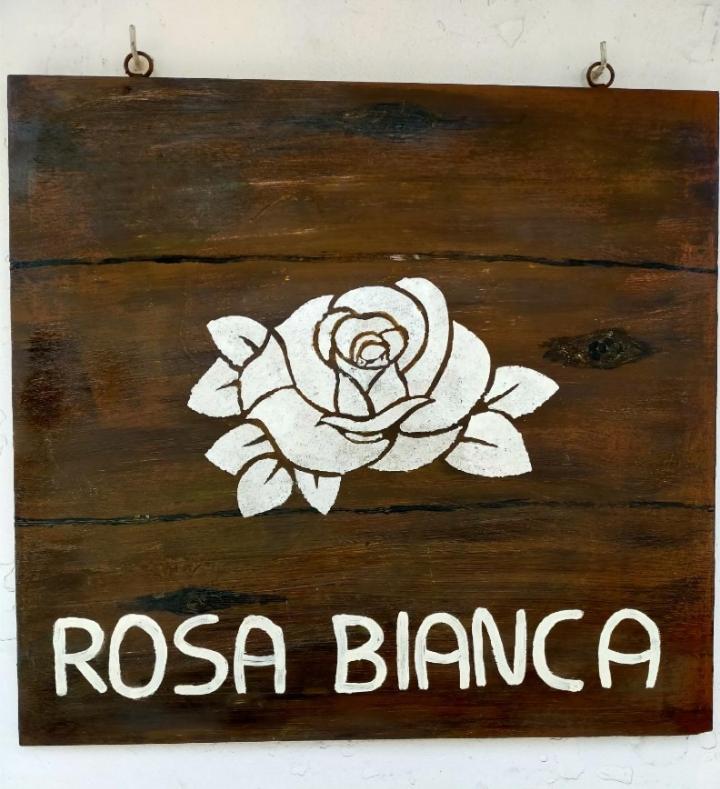 Rosa Bianca