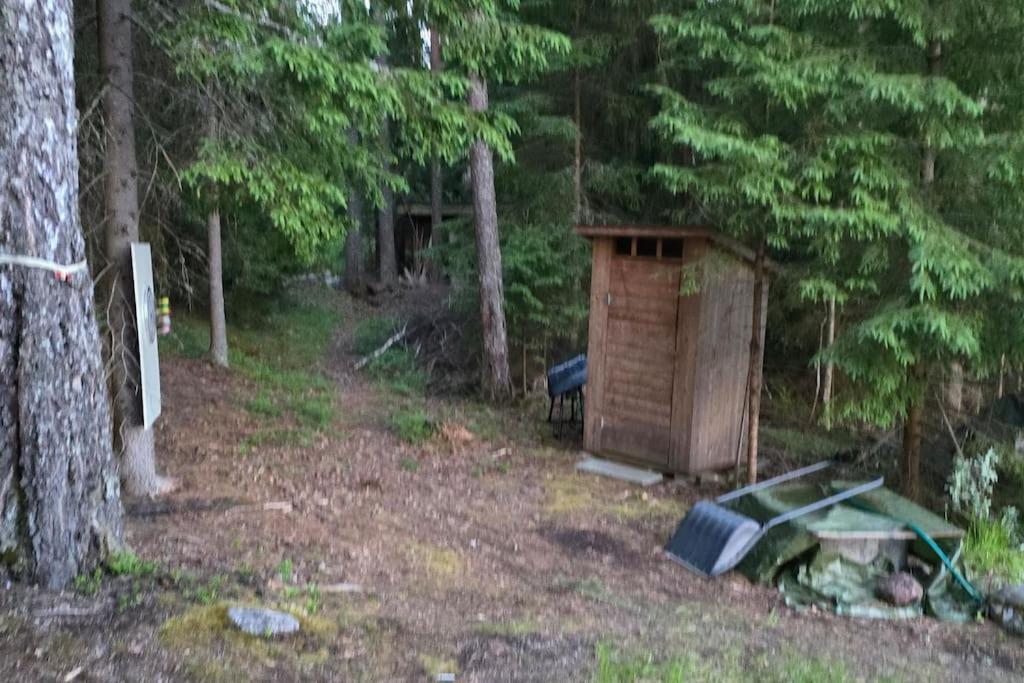 Mökki ympärivuotinen, Tammela