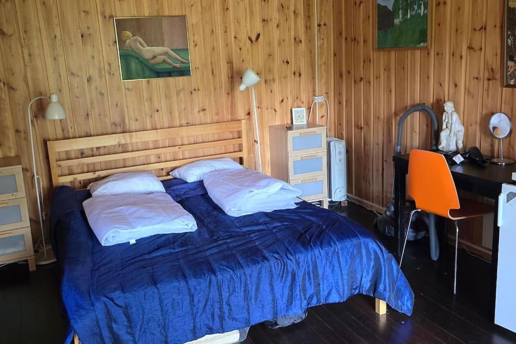 Mökki ympärivuotinen, Tammela