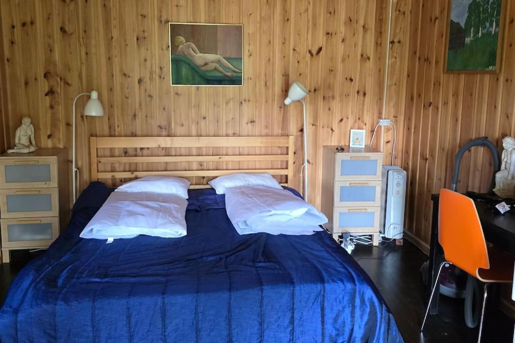 Mökki ympärivuotinen, Tammela