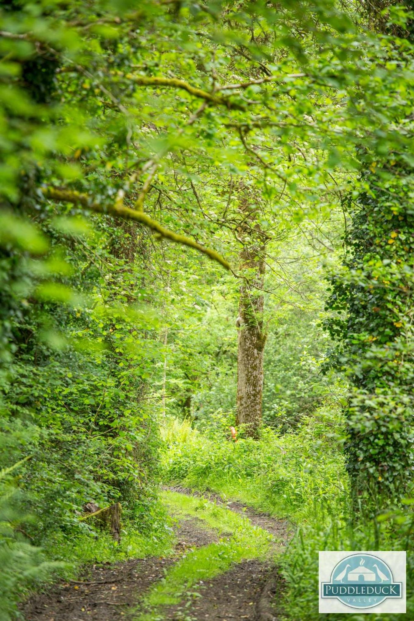 Puddleduck Valley - Dog Friendly