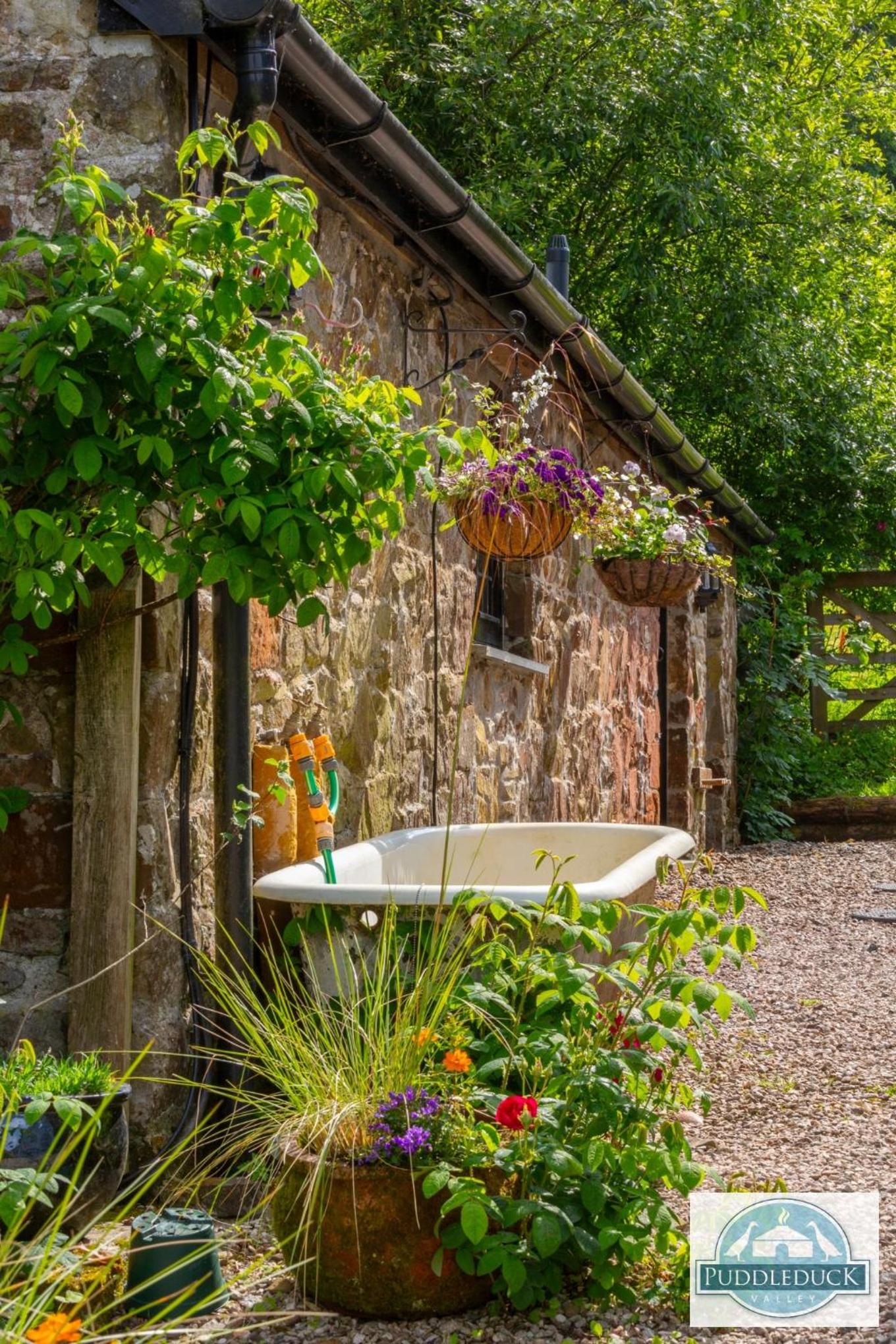 Puddleduck Valley - Dog Friendly