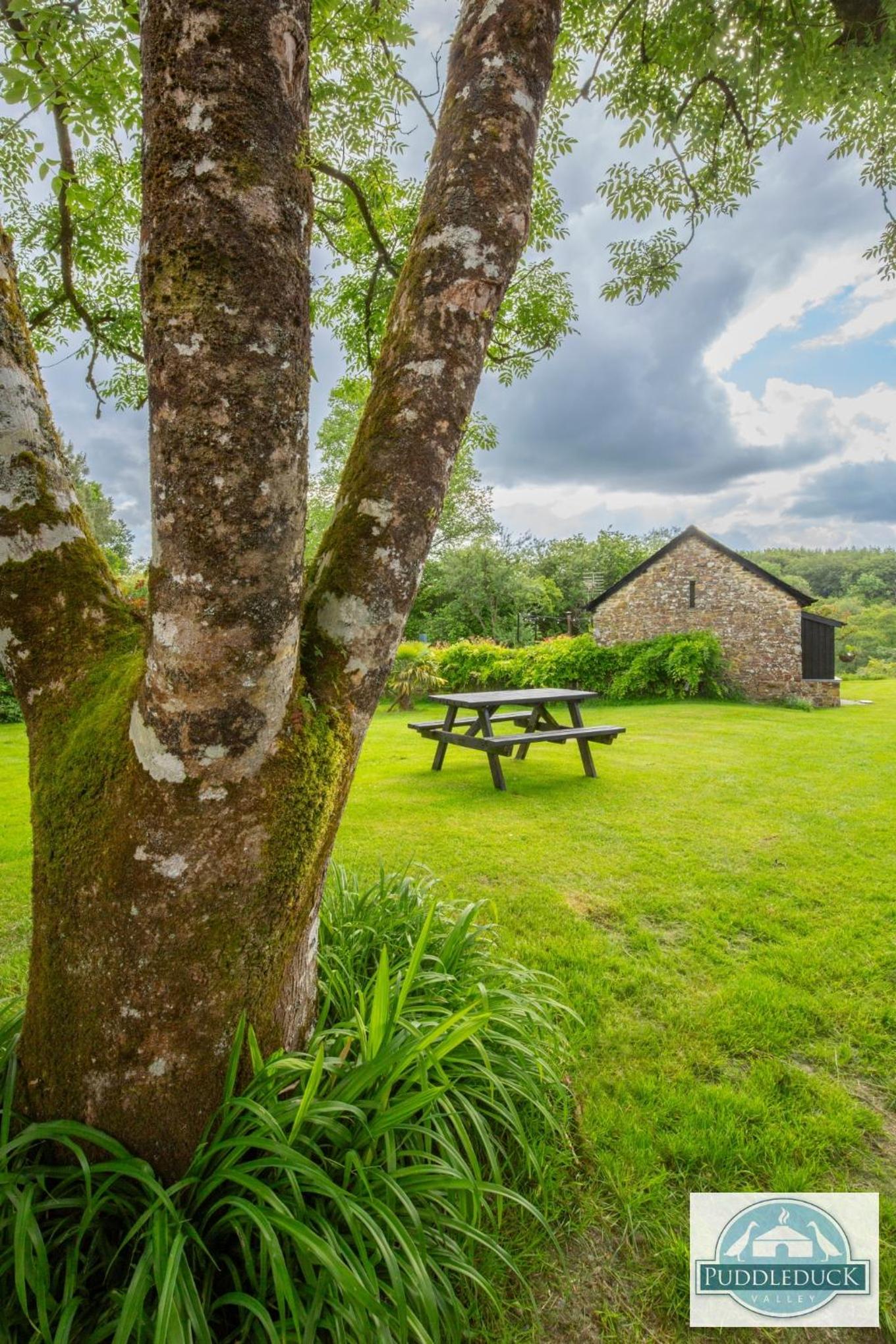 Puddleduck Valley - Dog Friendly