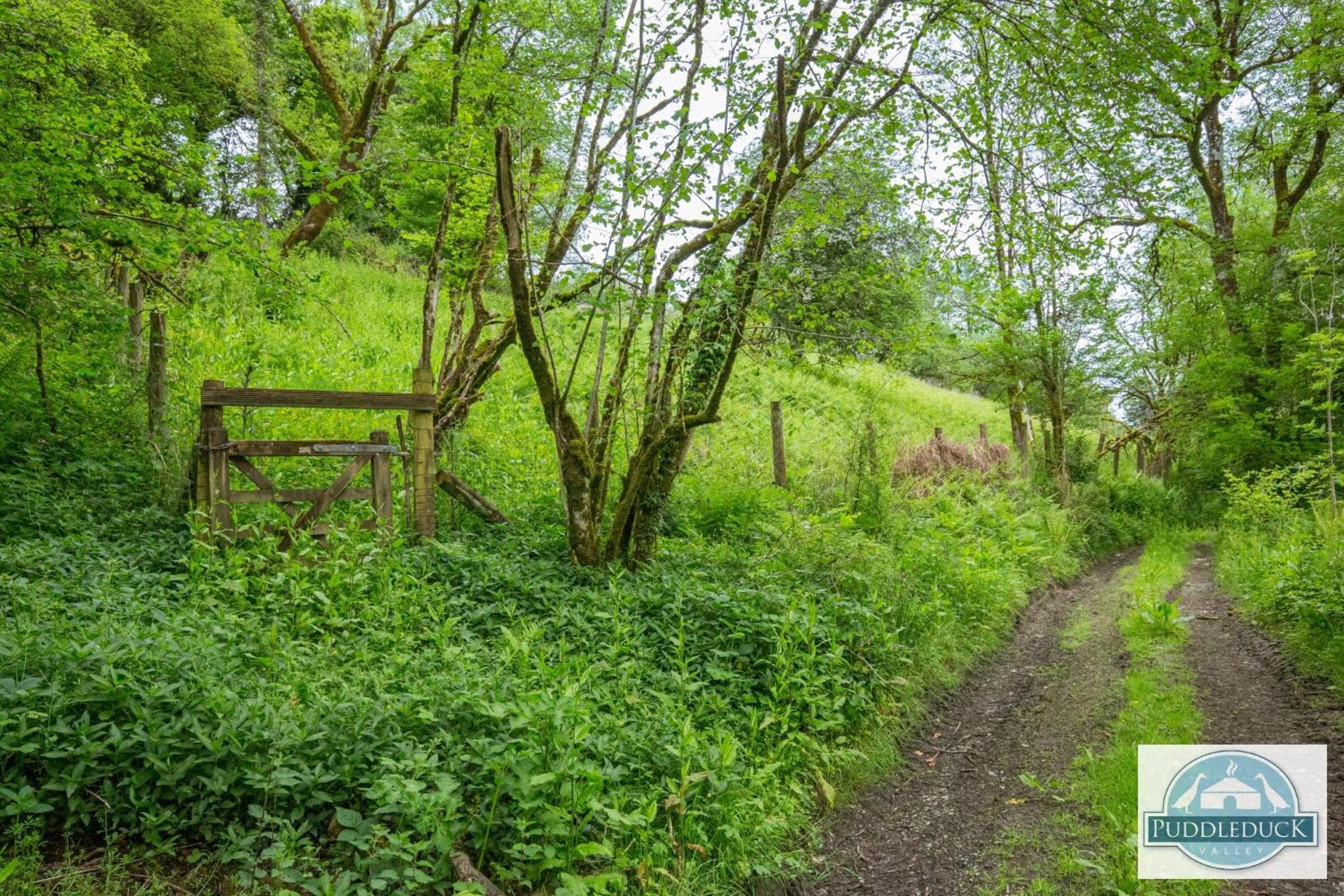 Puddleduck Valley - Dog Friendly