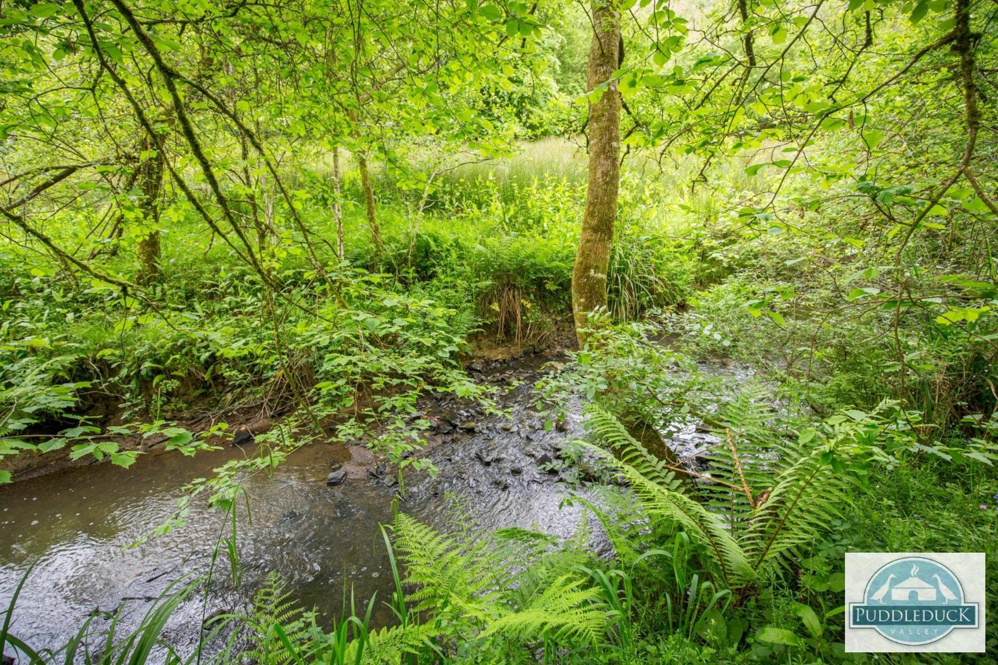 Puddleduck Valley - Dog Friendly