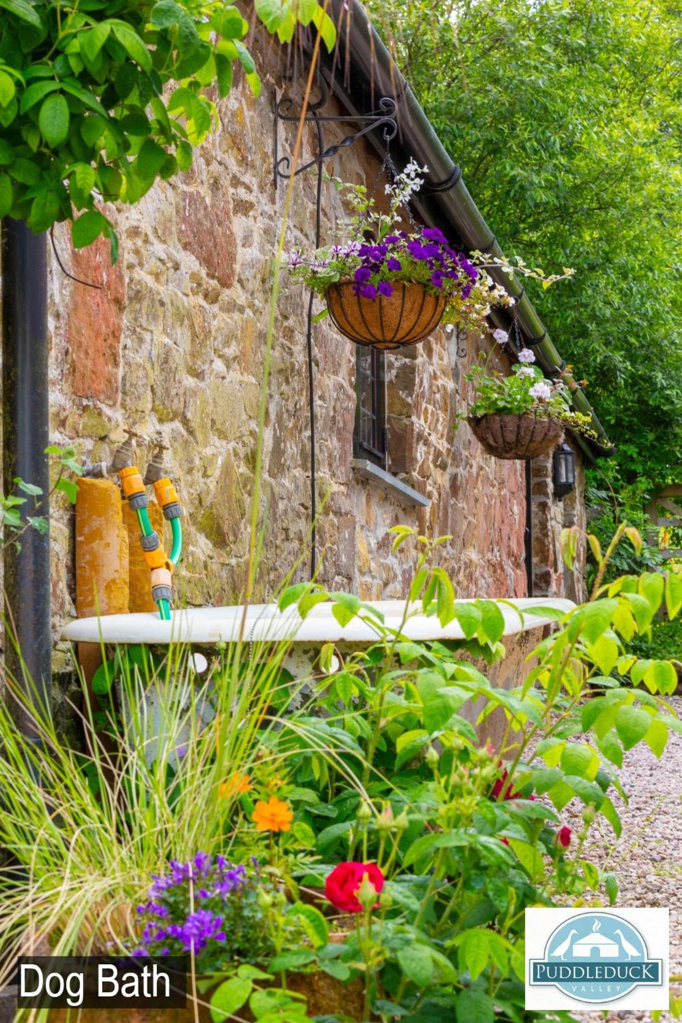 Puddleduck Valley - Dog Friendly
