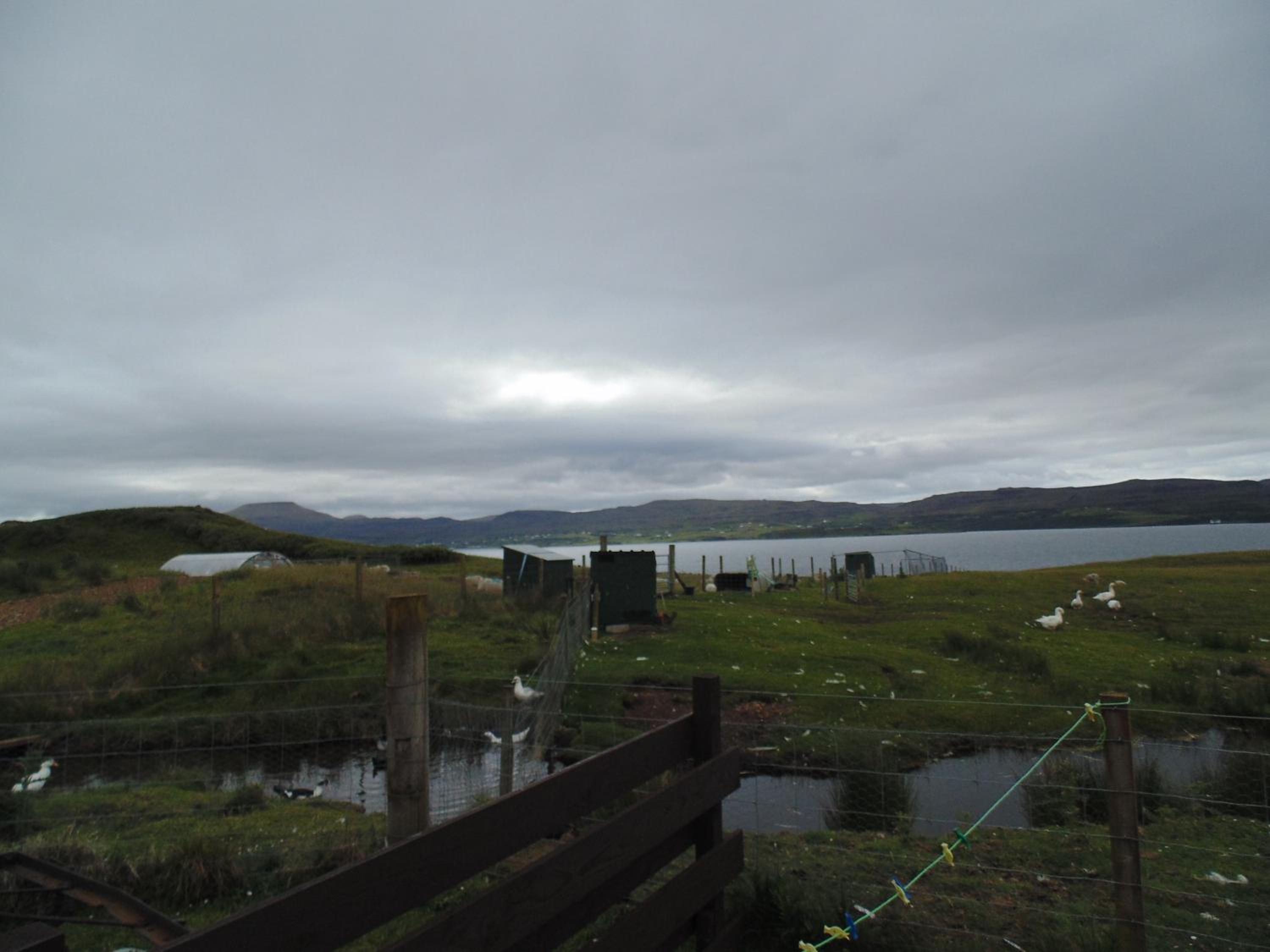 Photo 46