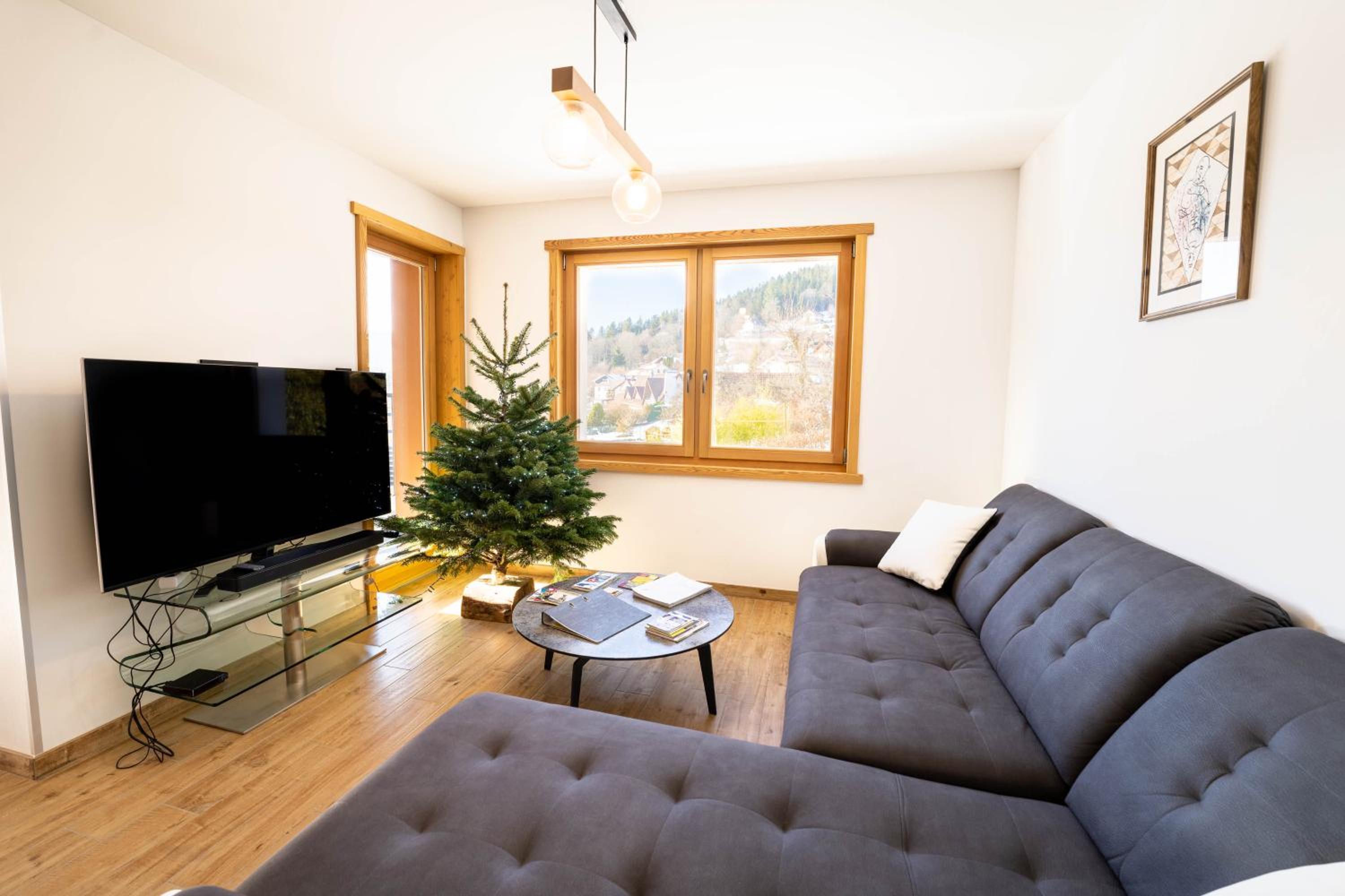 Moho Mountain Home, photo 34