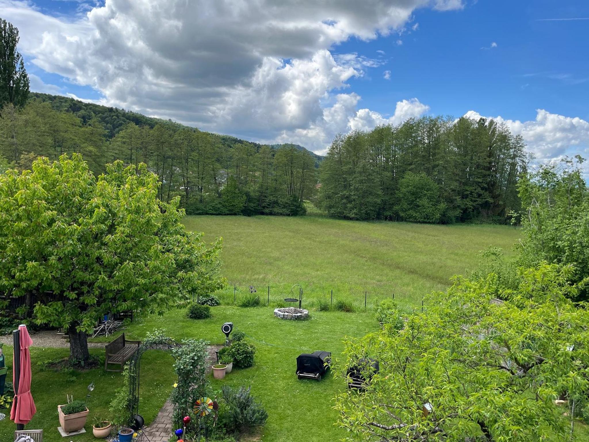 FeWo Wipperhausen view 5