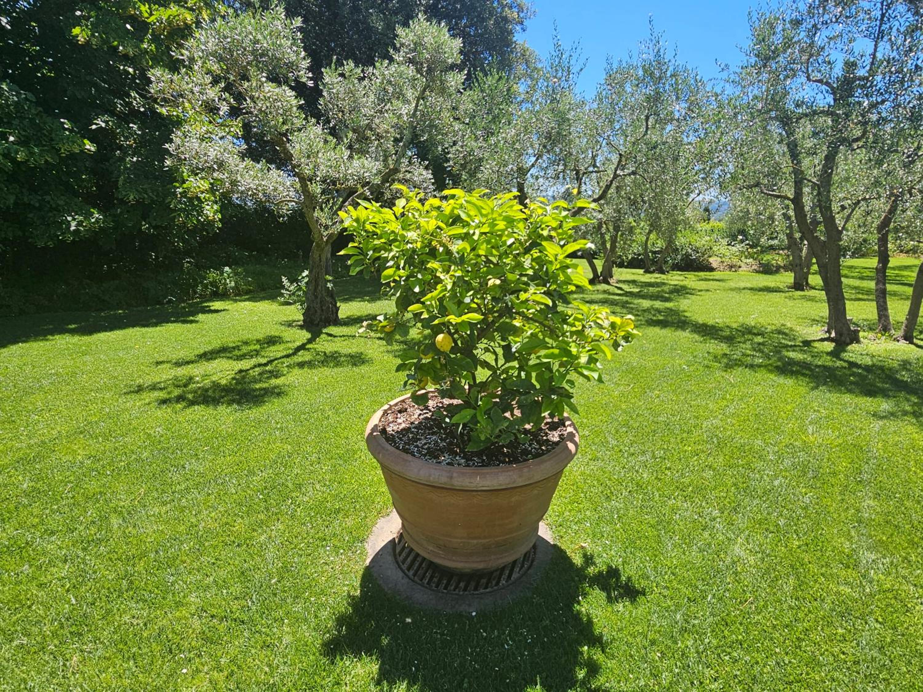 Villa Il Pino