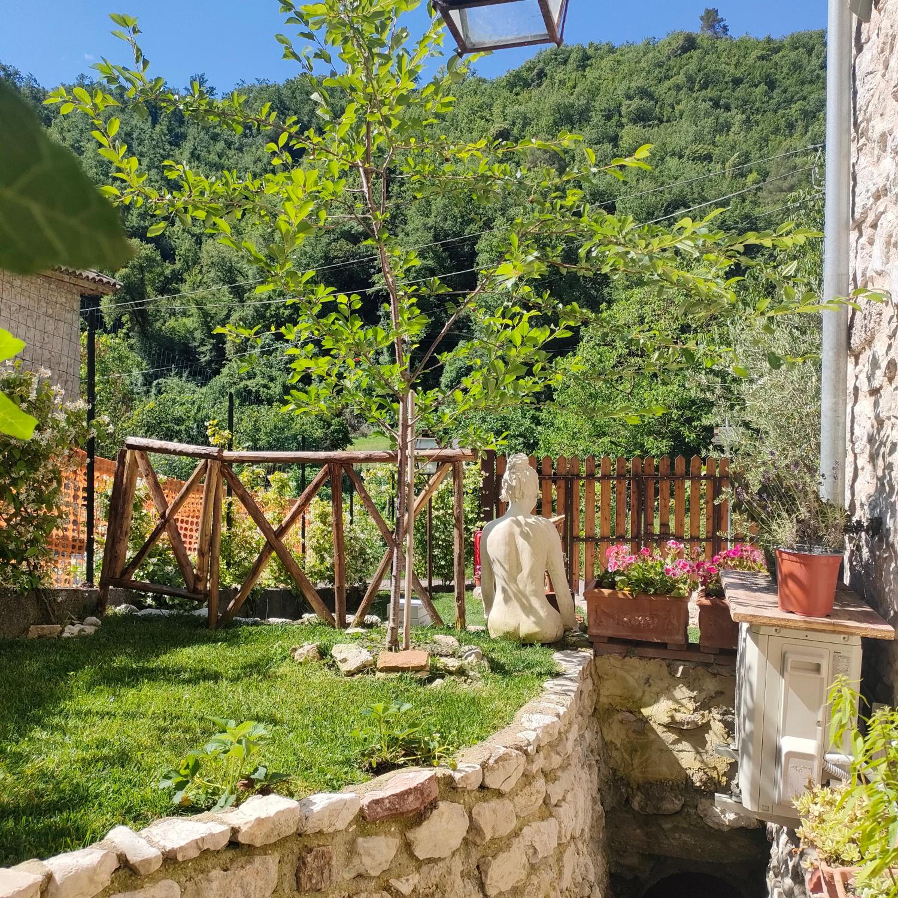 Umbria Valnerina , Il TARTUFFO, sulla via di Francesco view 4