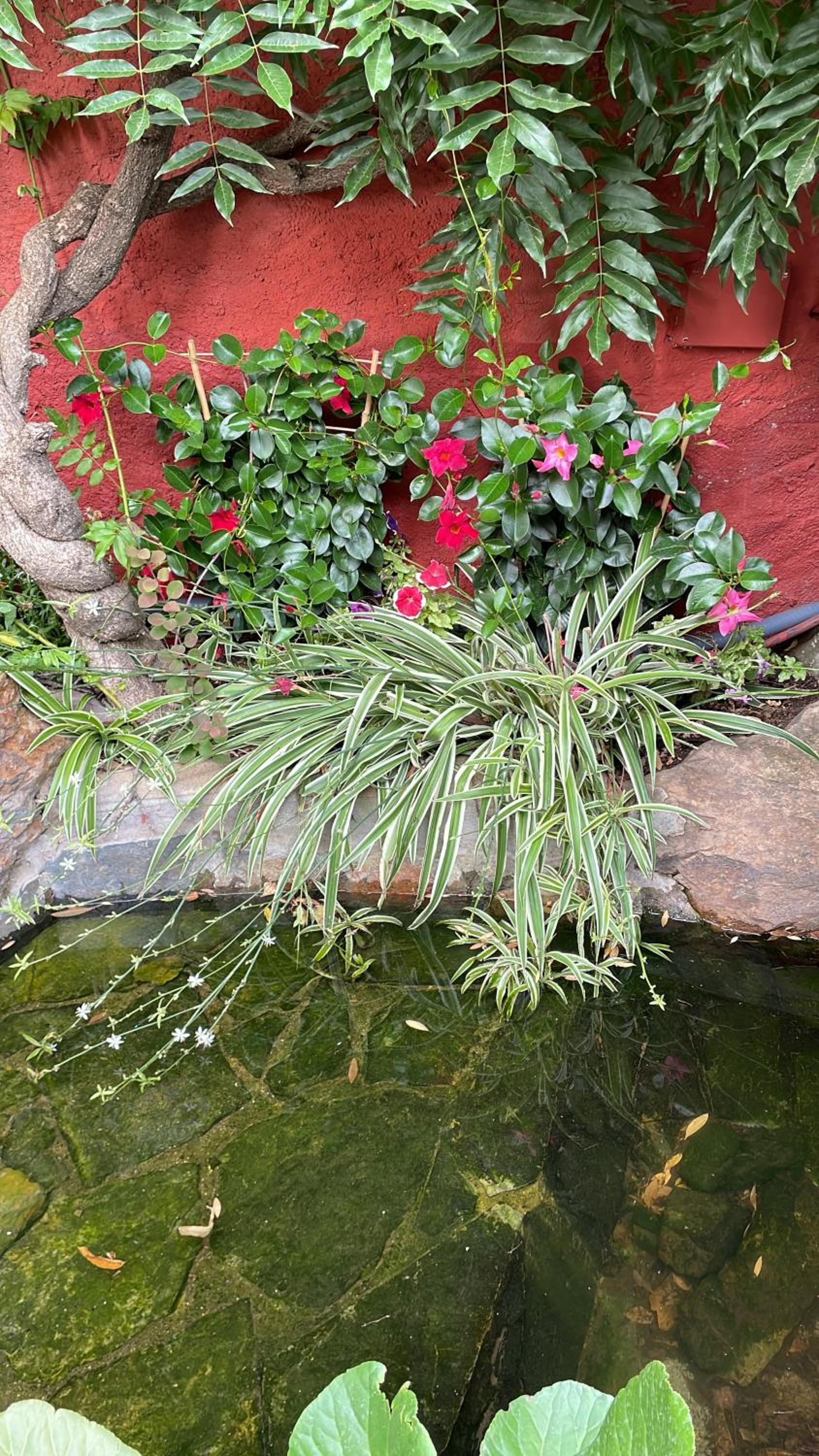 Casa Lares