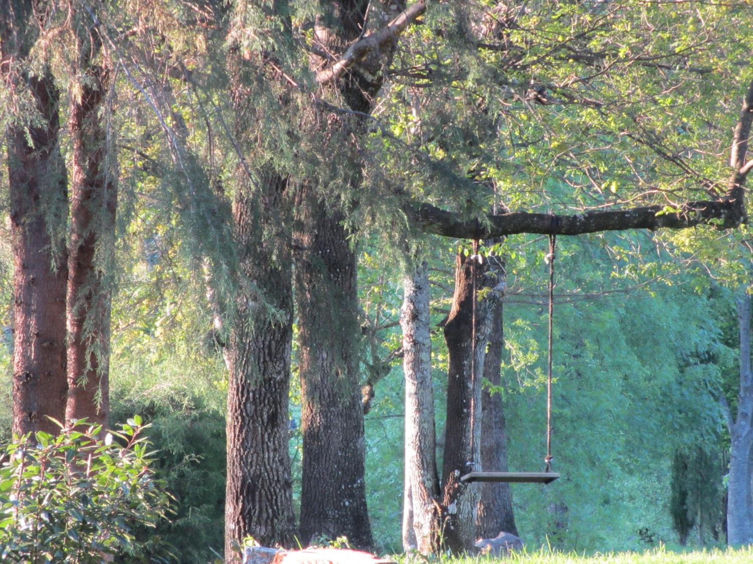 Photo 60