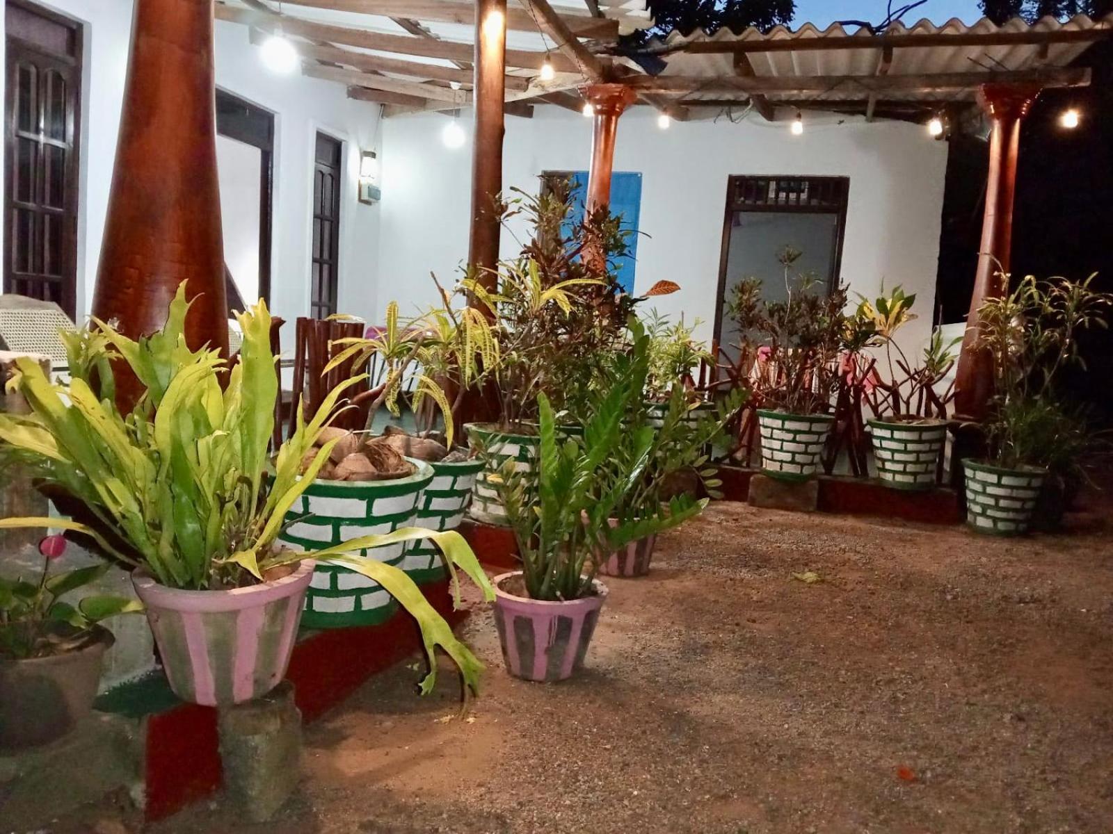 Lions Gate Homestay view 4