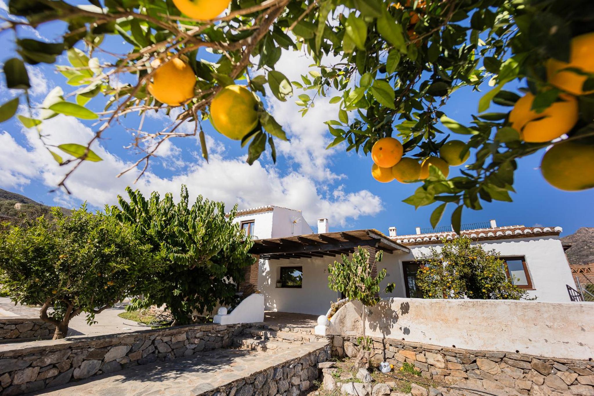 RentitSpain - La Alpujarra Granadina - Cortijos Fandango Confort y Montañas