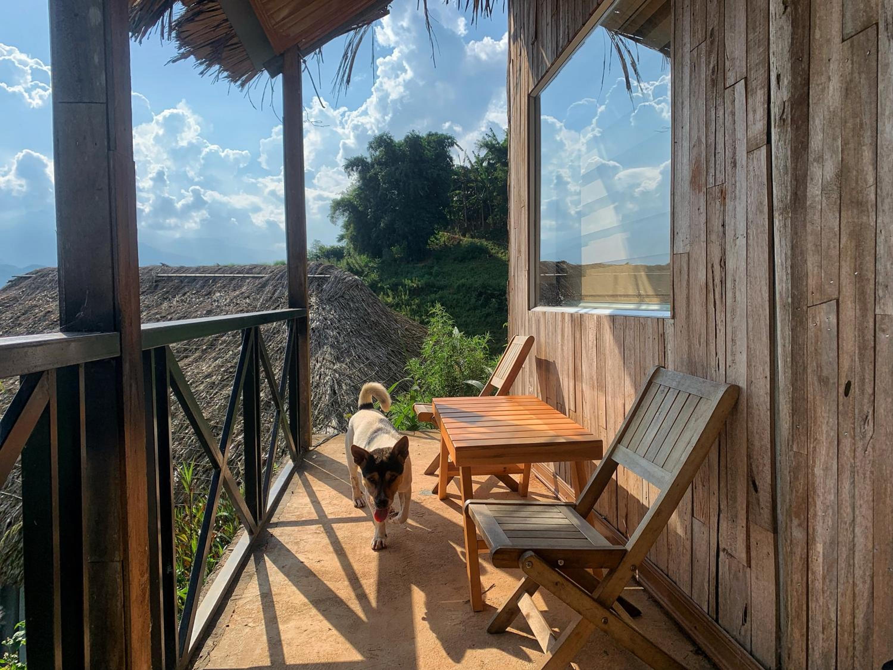 Larosa Homestay