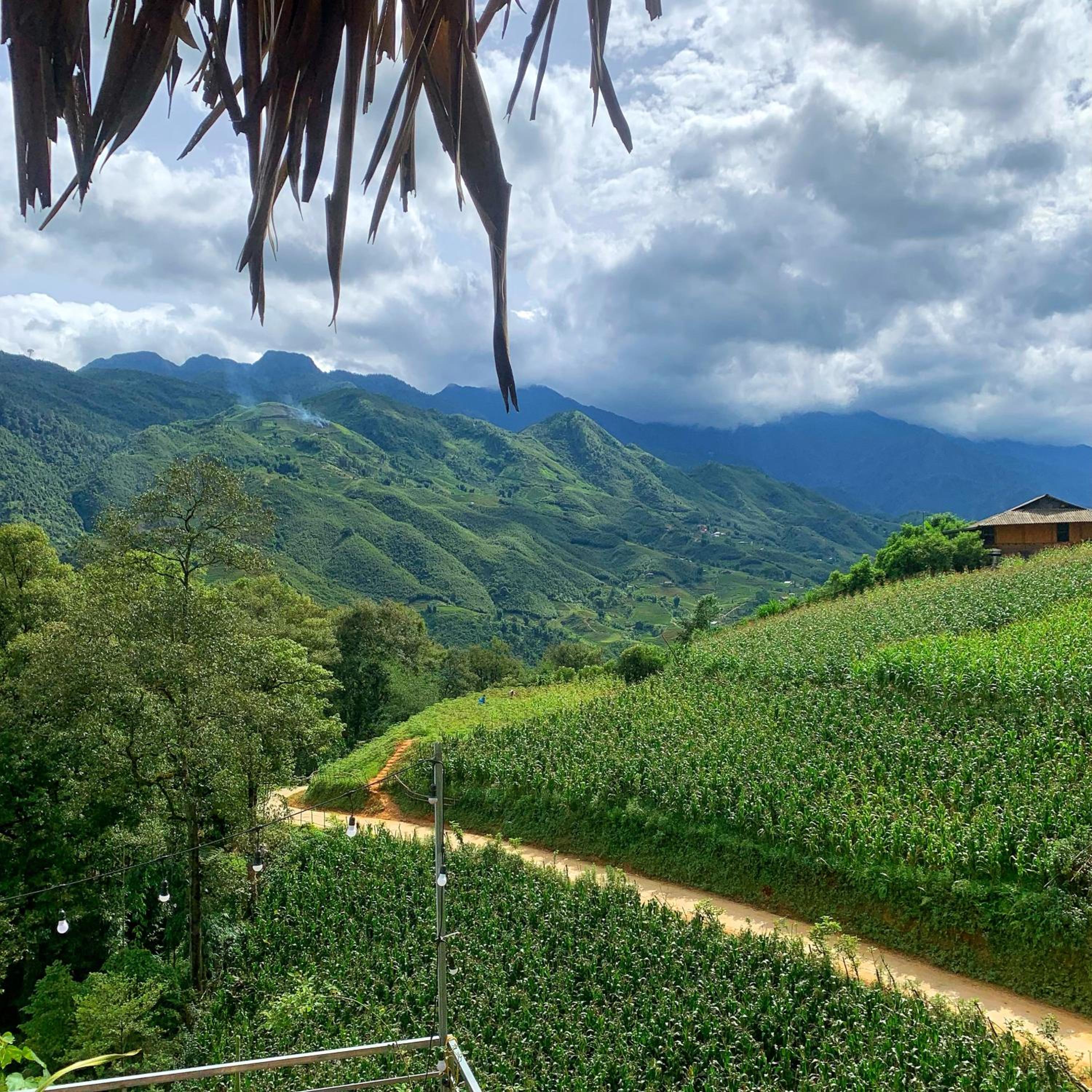 Larosa Homestay